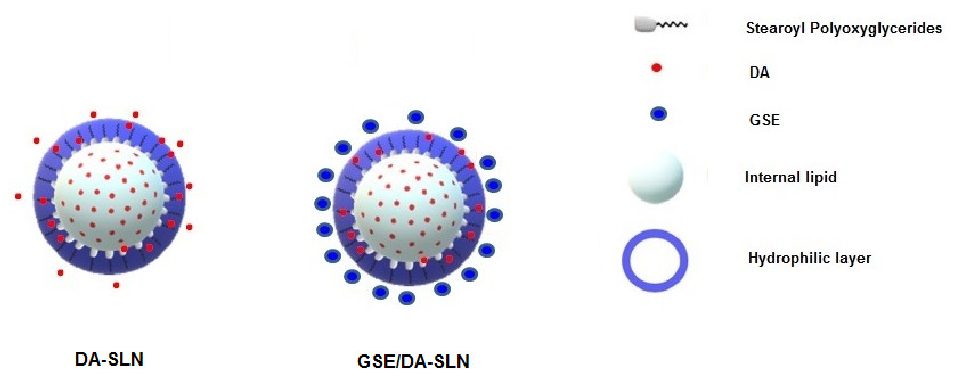 Molecules 26 00916 g008