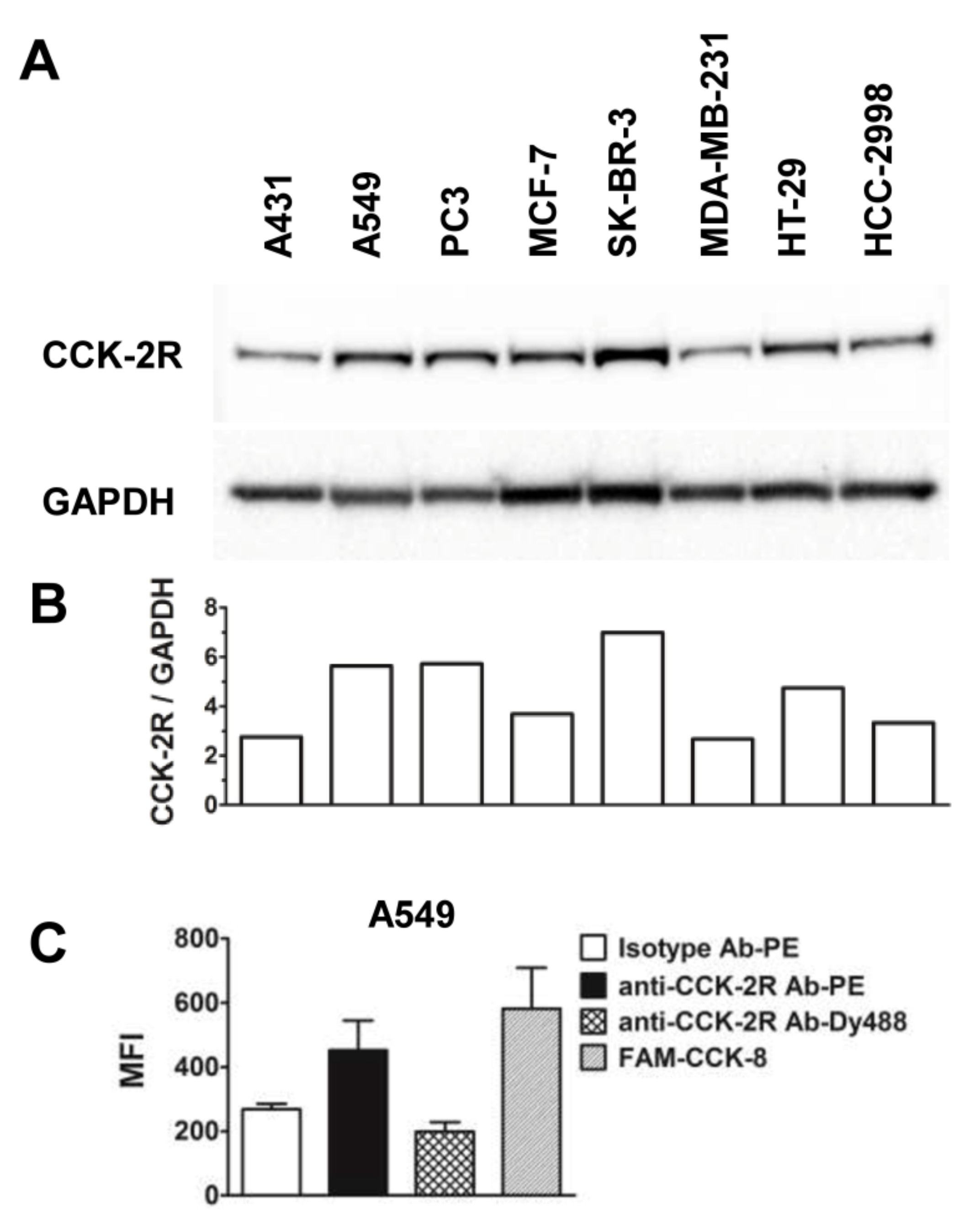 Molecules 26 00918 g001 Molecules 26 00918 g001