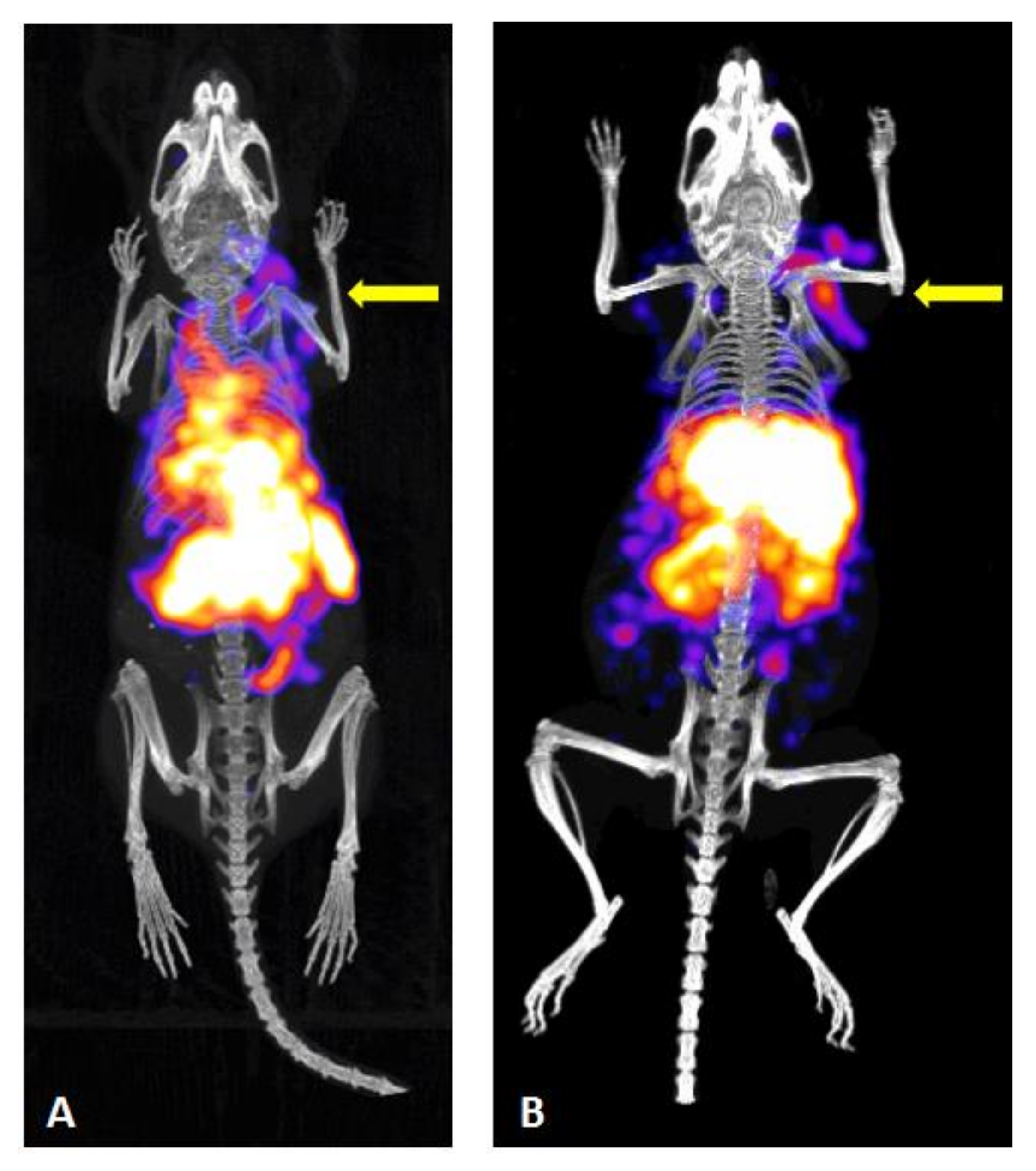 Molecules 26 00918 g003 Molecules 26 00918 g003