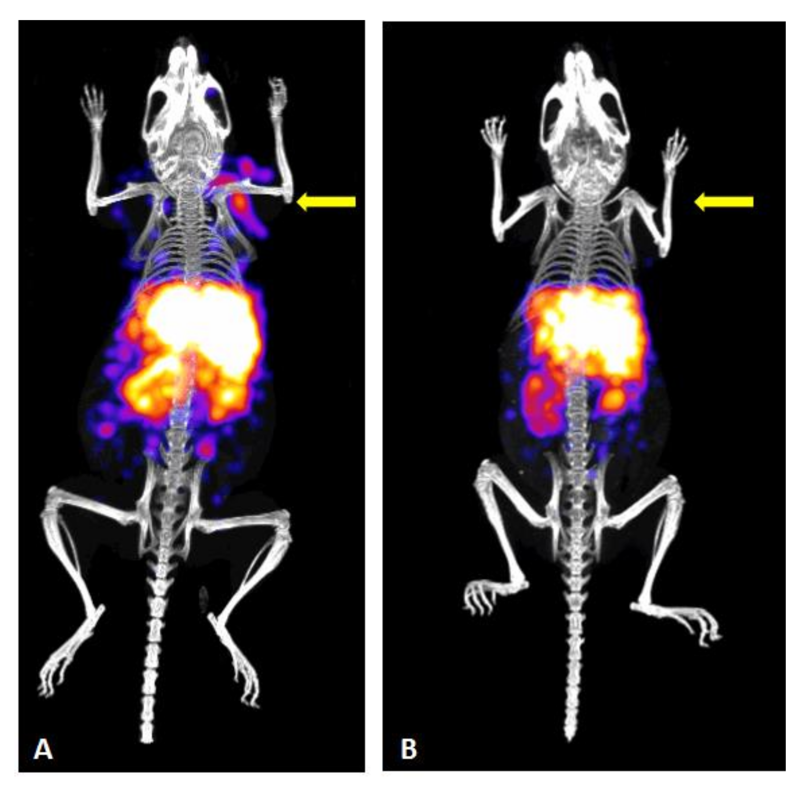 Molecules 26 00918 g006 Molecules 26 00918 g006