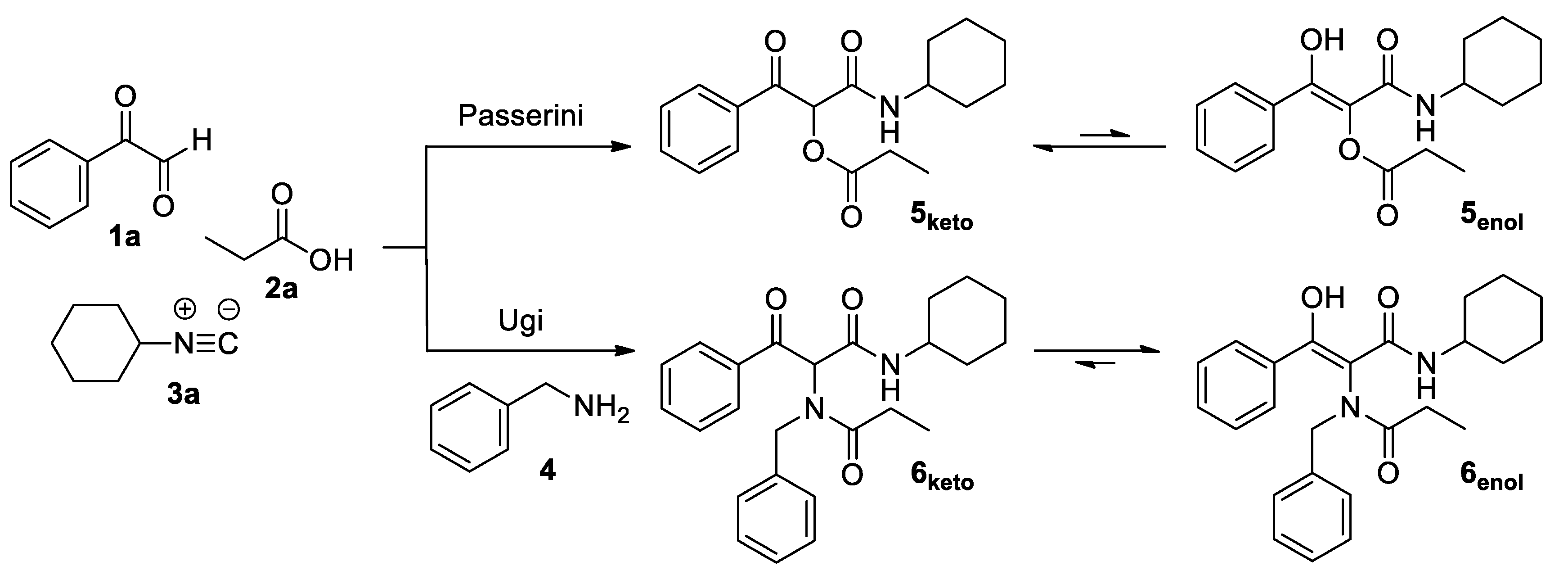 Molecules 26 00919 sch001