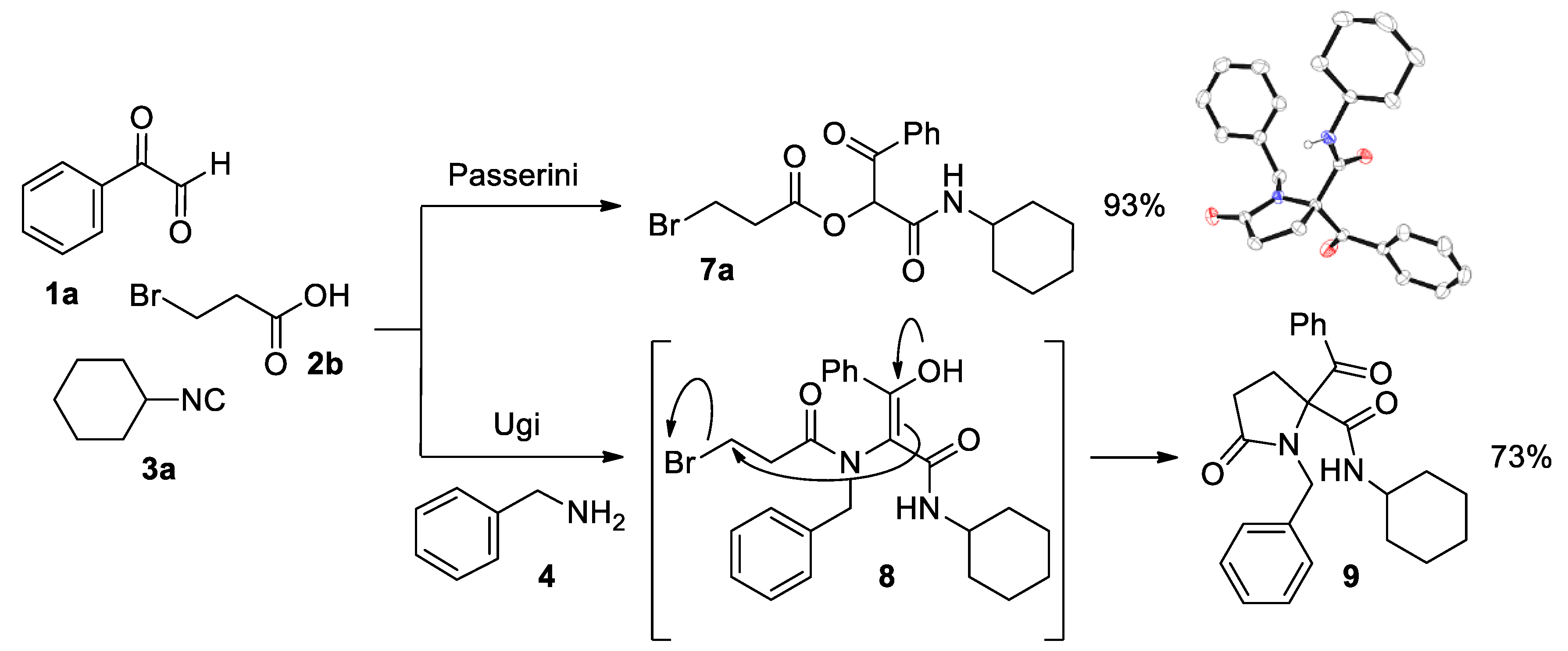 Molecules 26 00919 sch003
