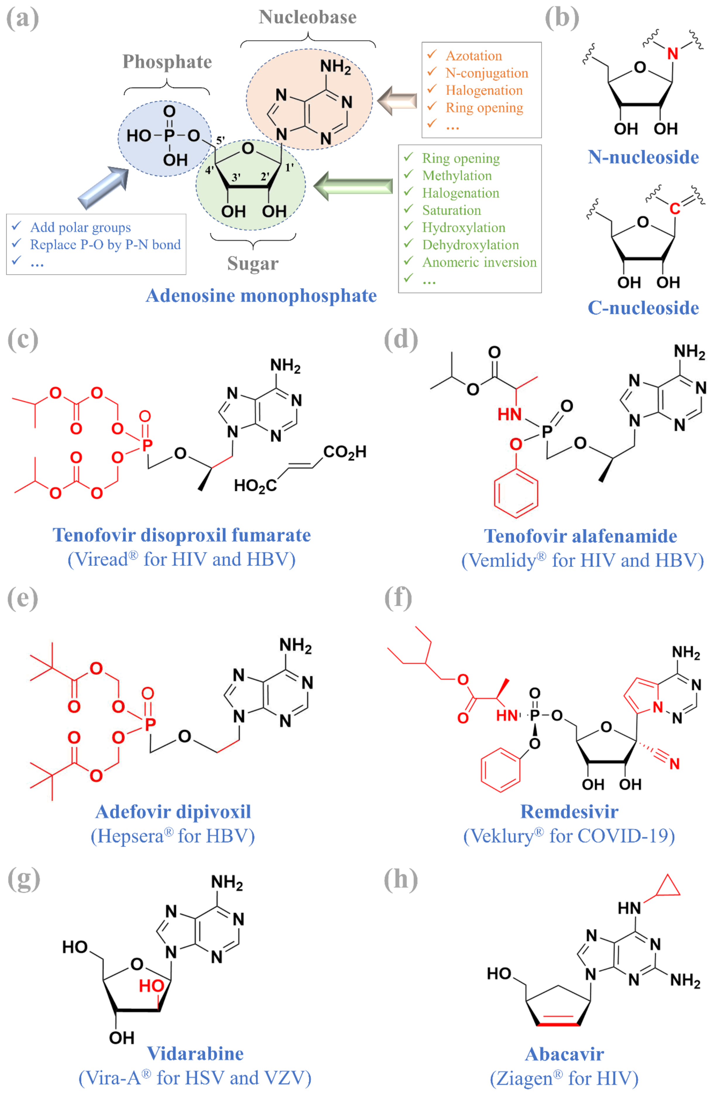 Molecules 26 00923 g001
