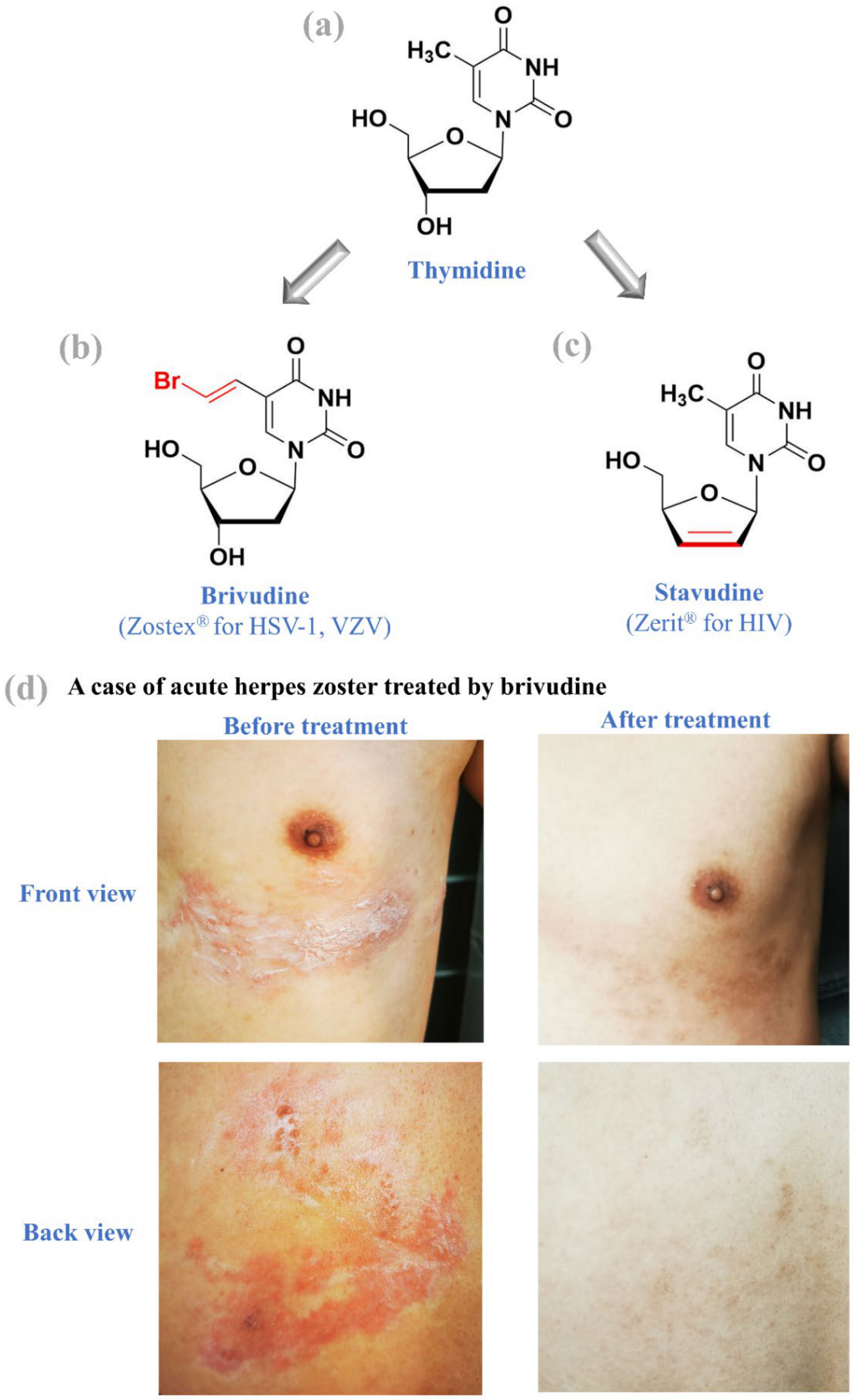 Molecules 26 00923 g003