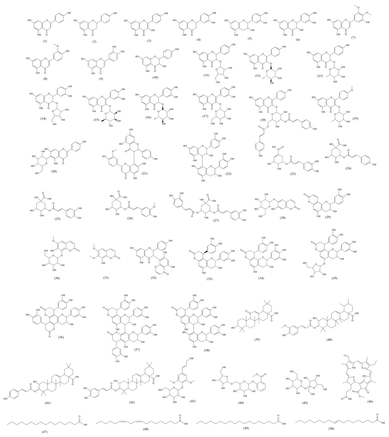 Molecules 26 00925 g008