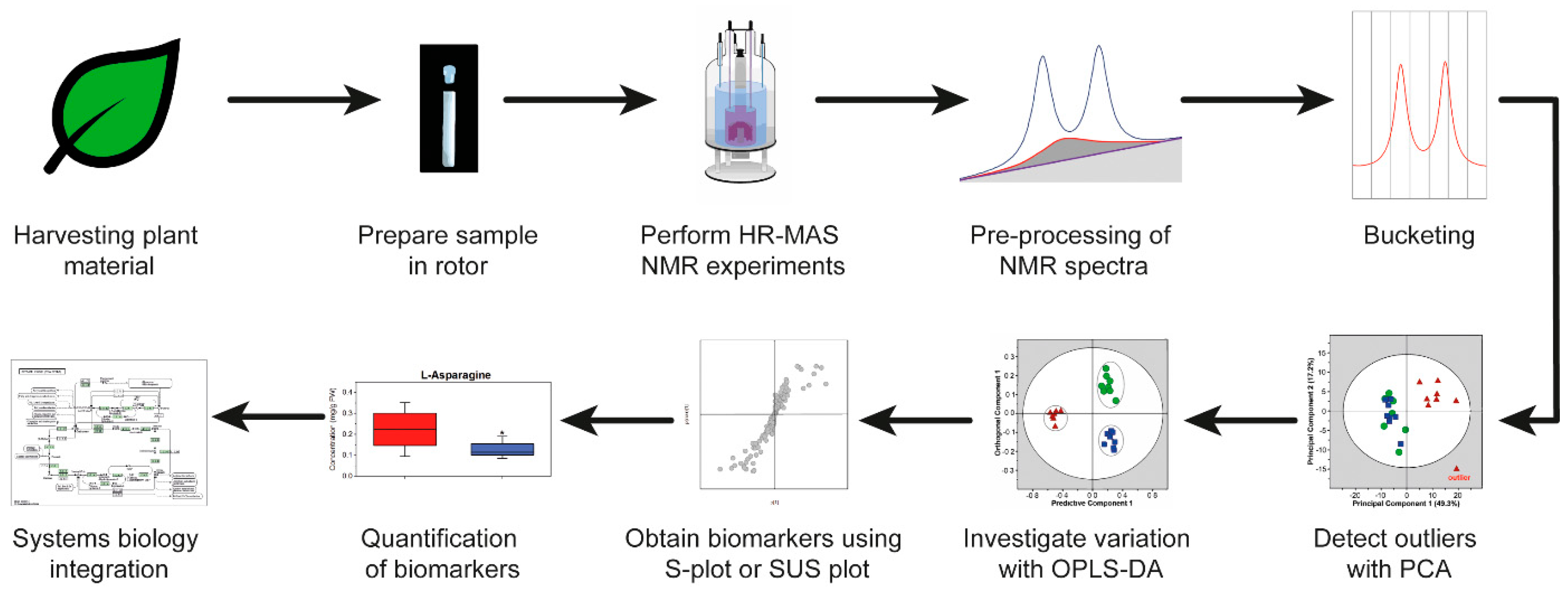 Molecules 26 00931 g003