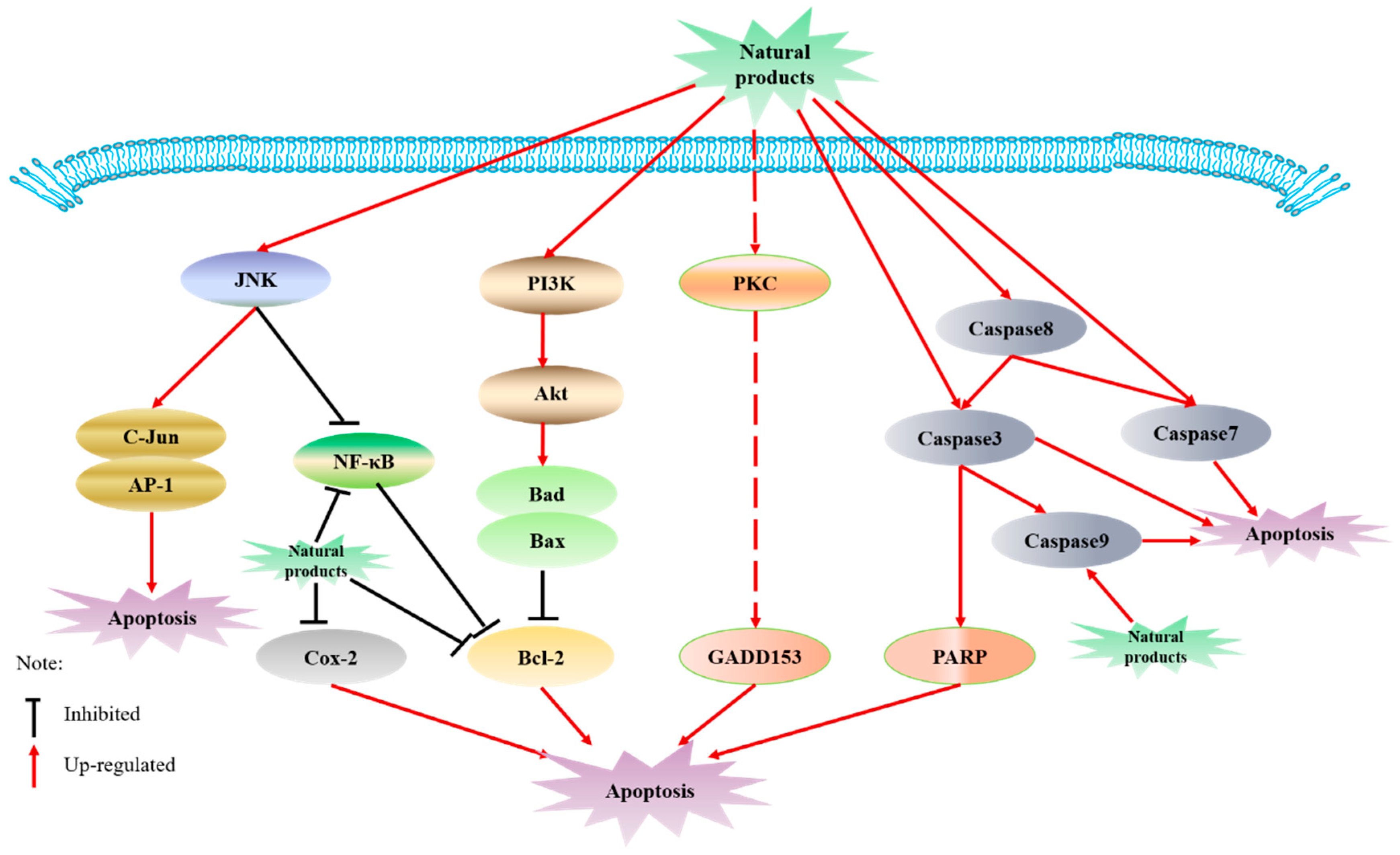 Molecules 26 00933 g001