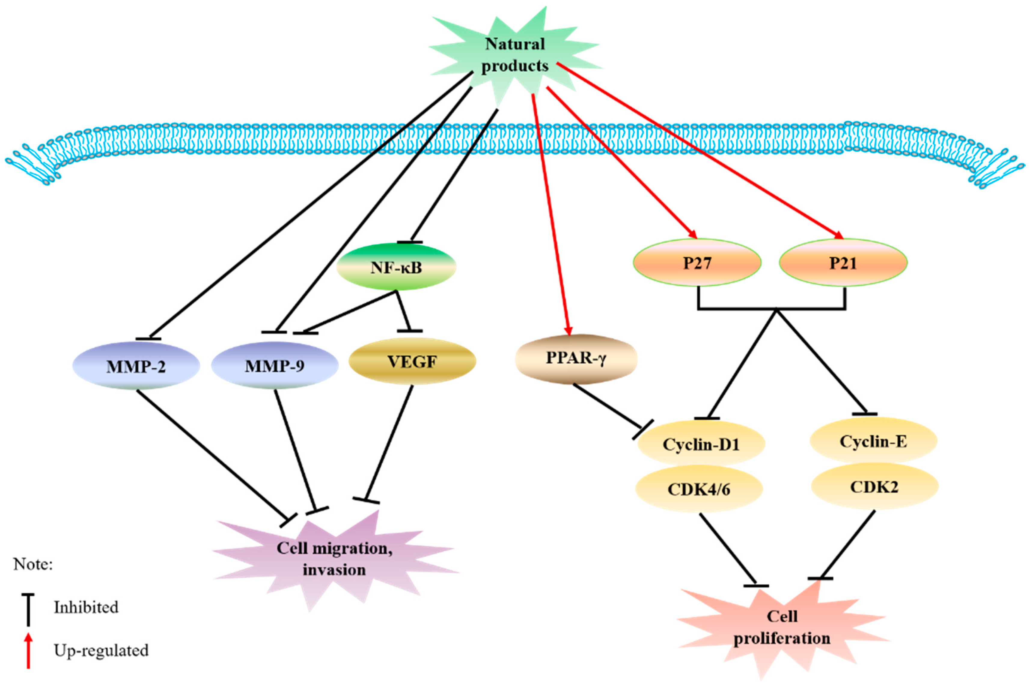 Molecules 26 00933 g002