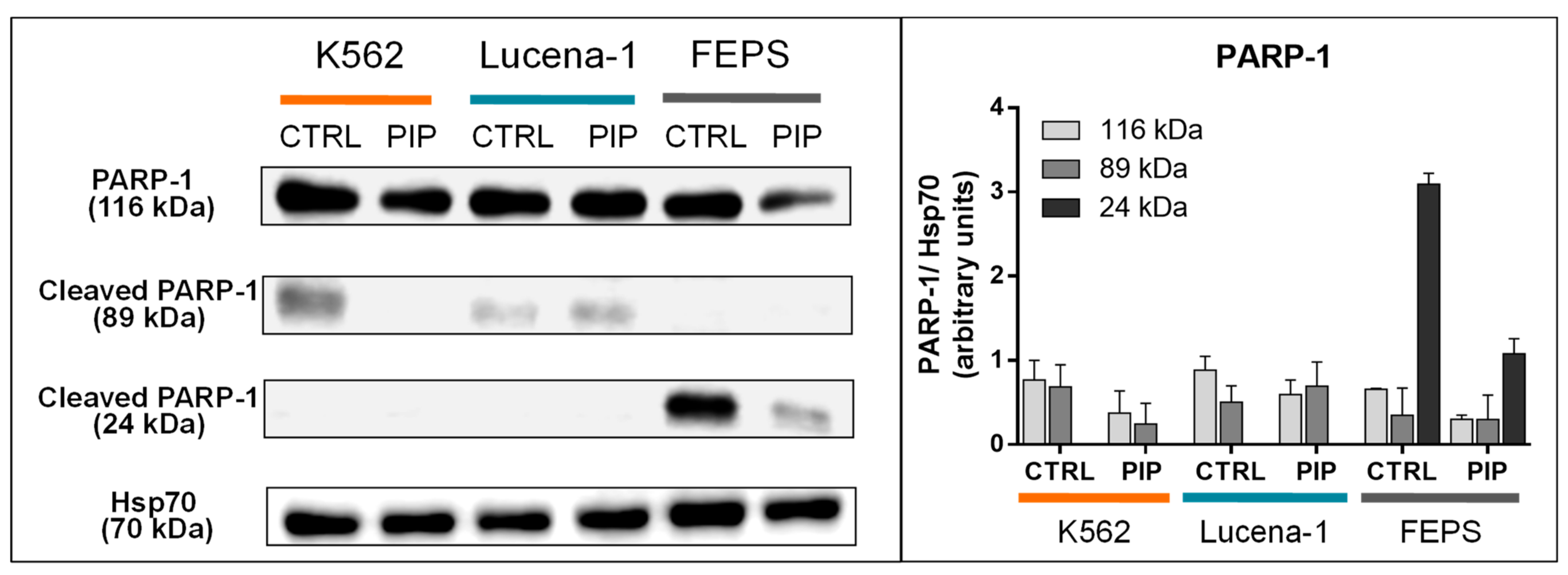 Molecules 26 00934 g010