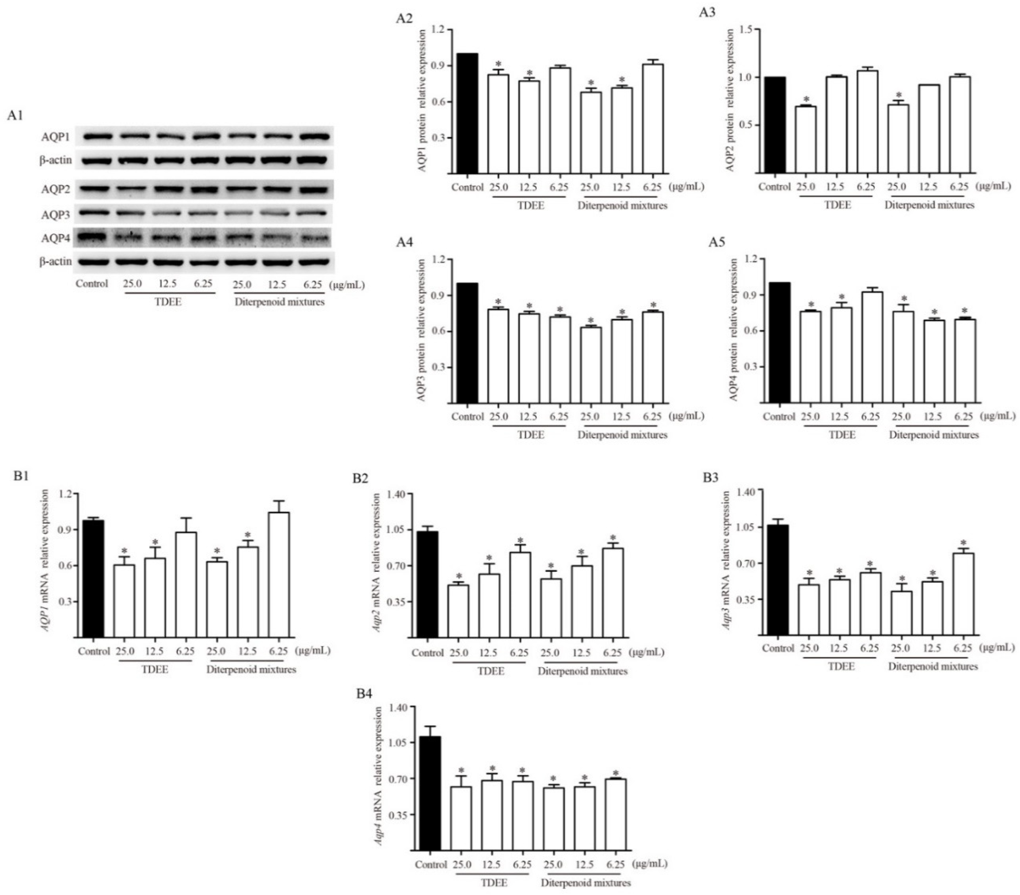 Molecules 26 00942 g007