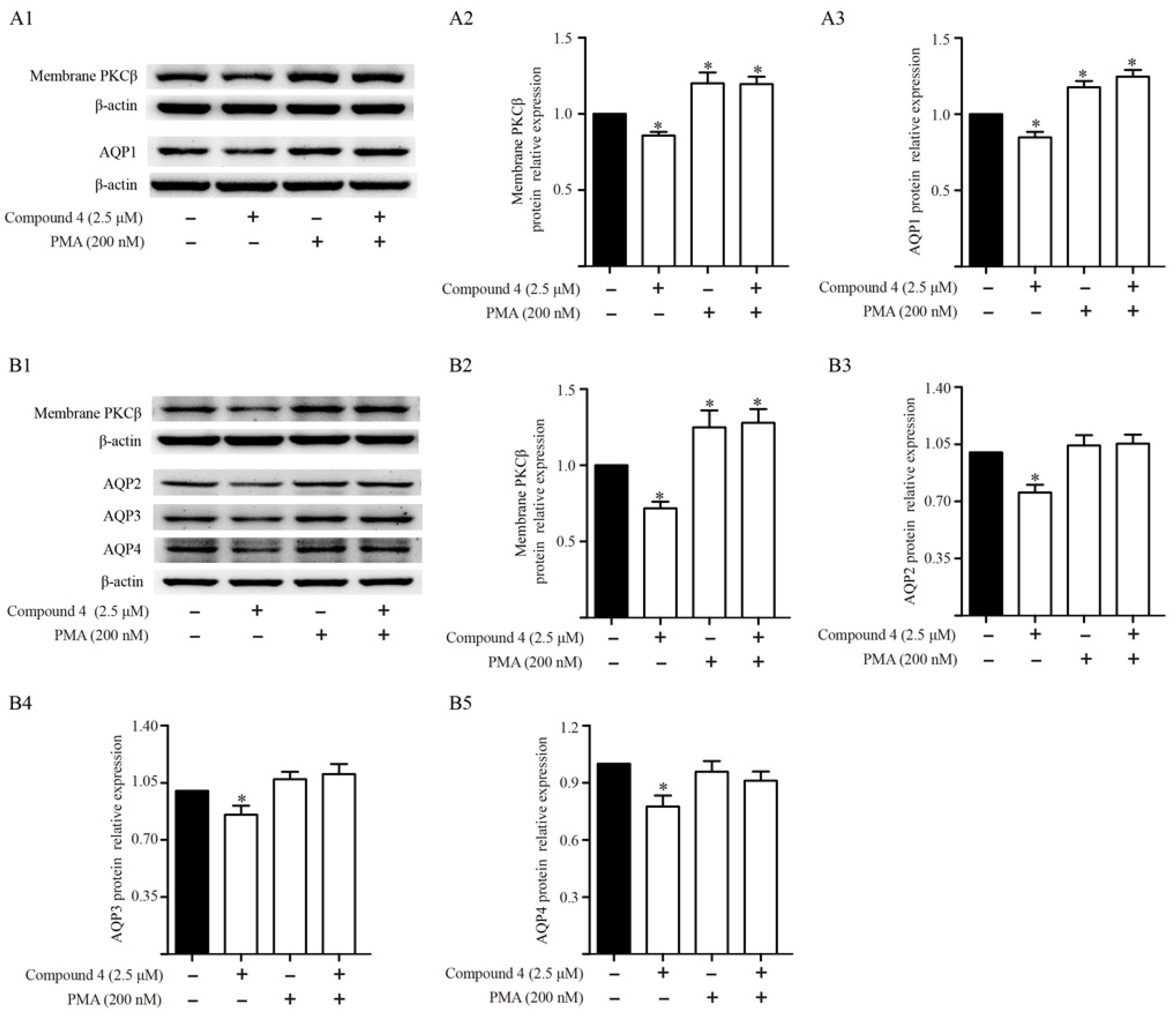 Molecules 26 00942 g010