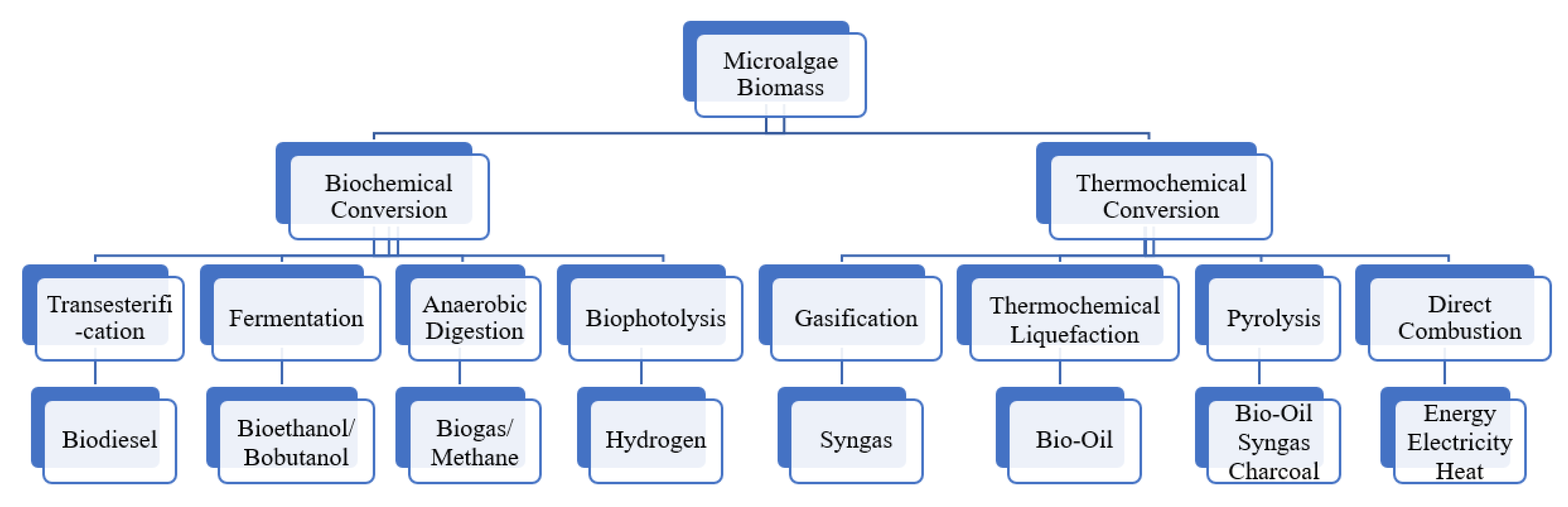 Molecules 26 00943 g006 Molecules 26 00943 g006