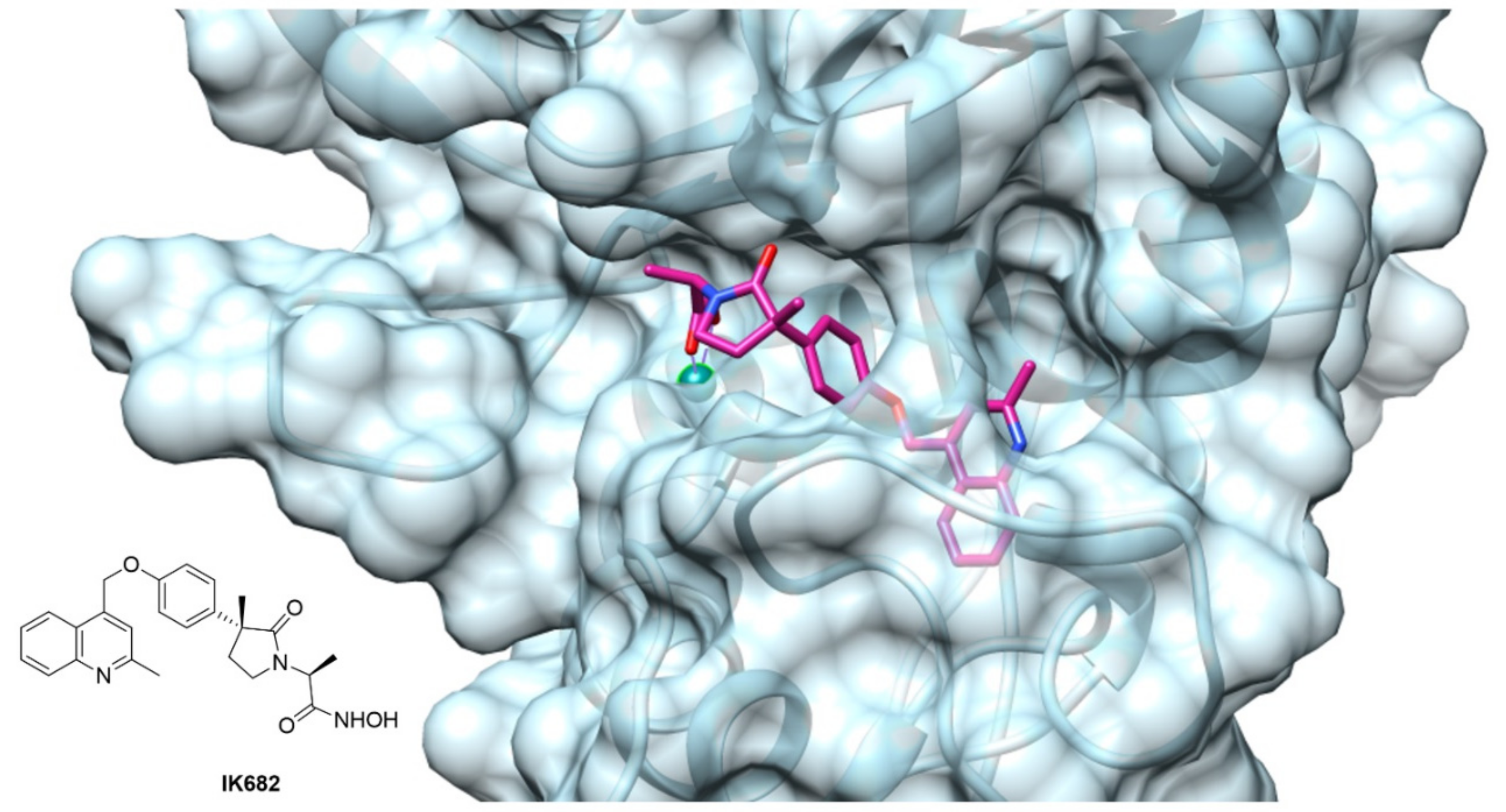 Molecules 26 00944 g004