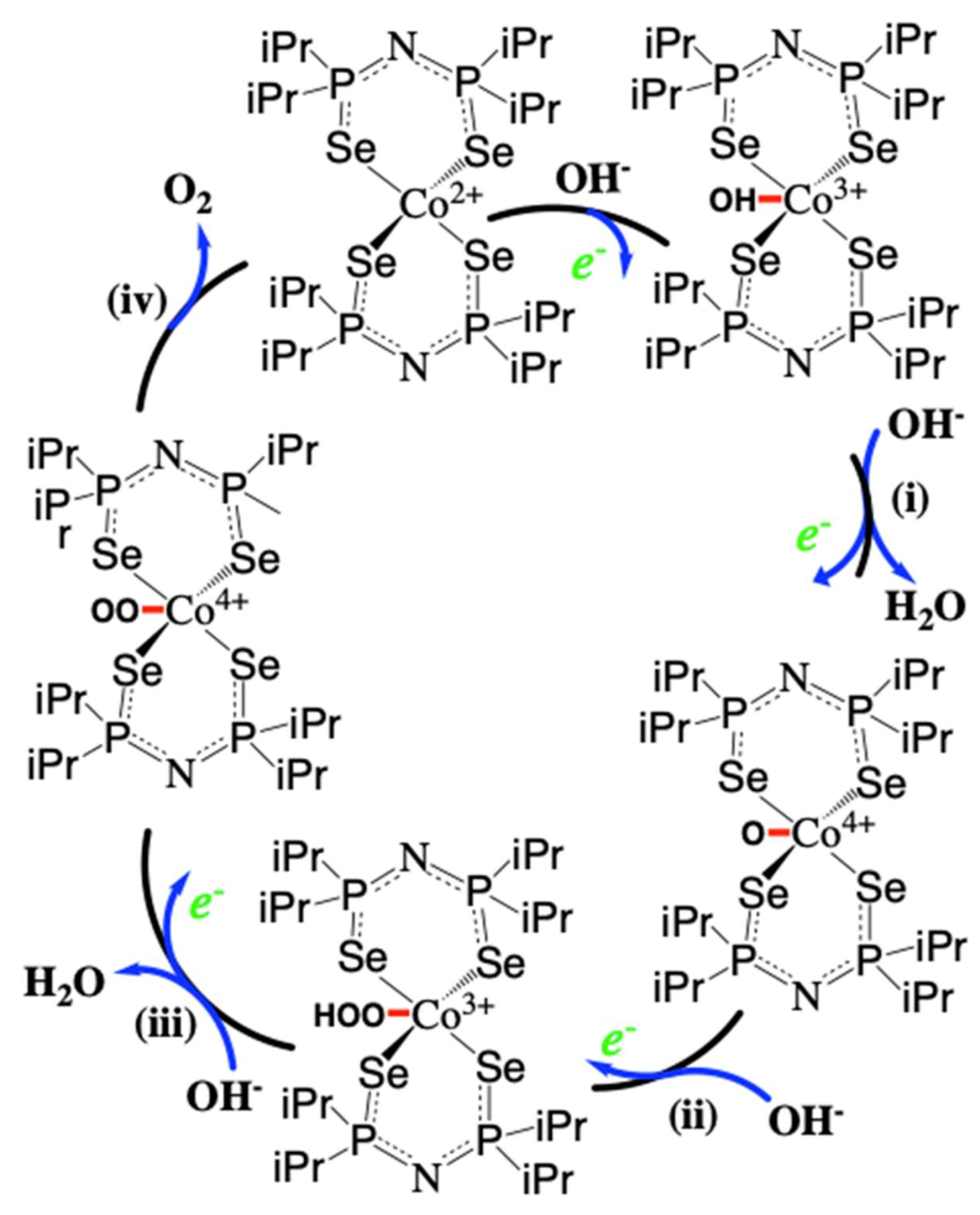 Molecules 26 00945 g006 Molecules 26 00945 g006