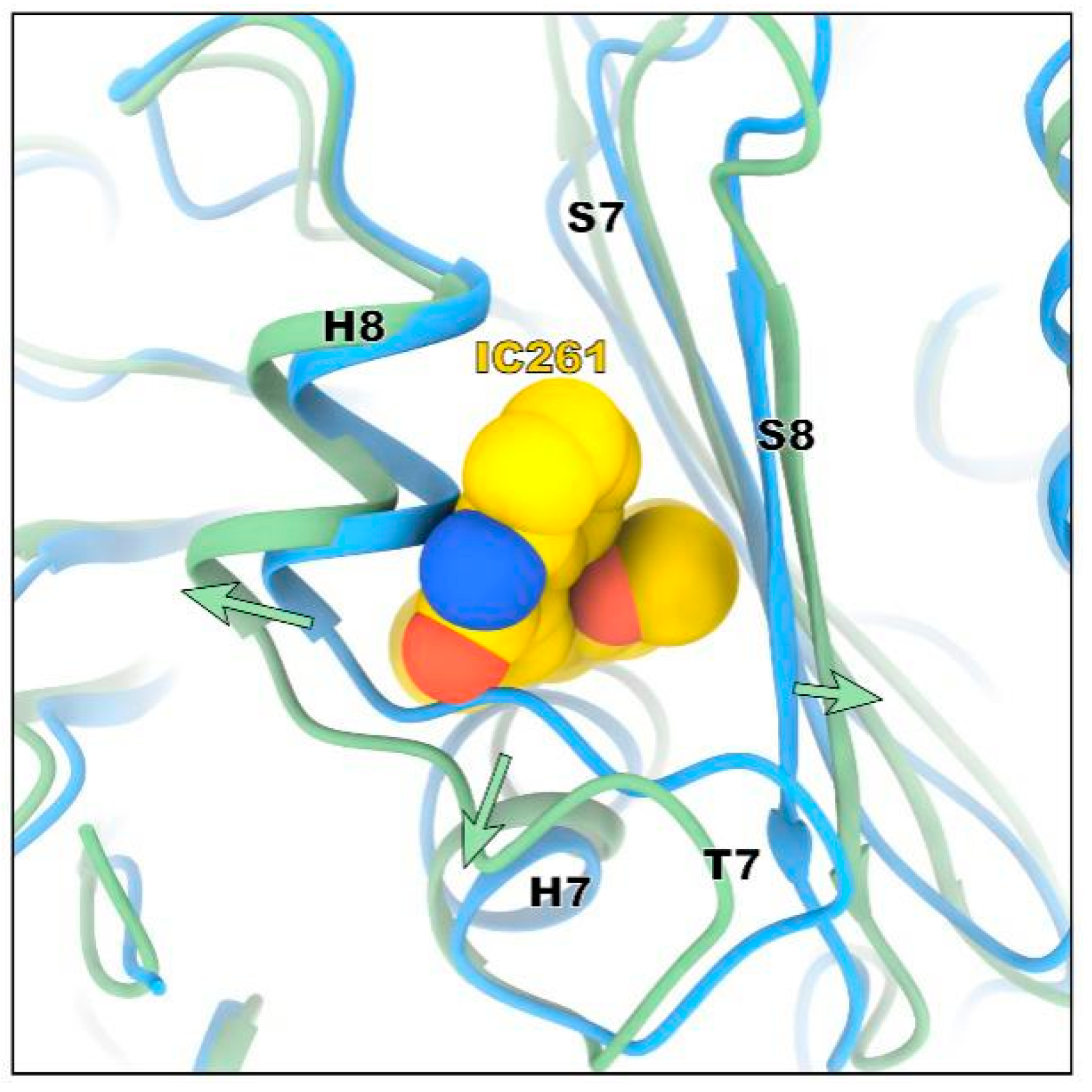 Molecules 26 00946 g003