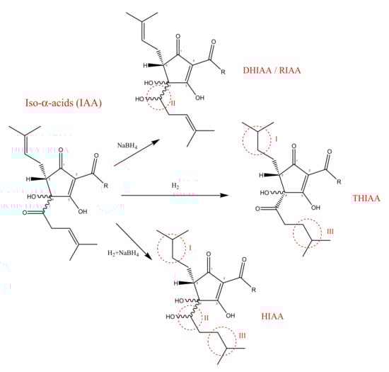 Molecules 26 00954 g003
