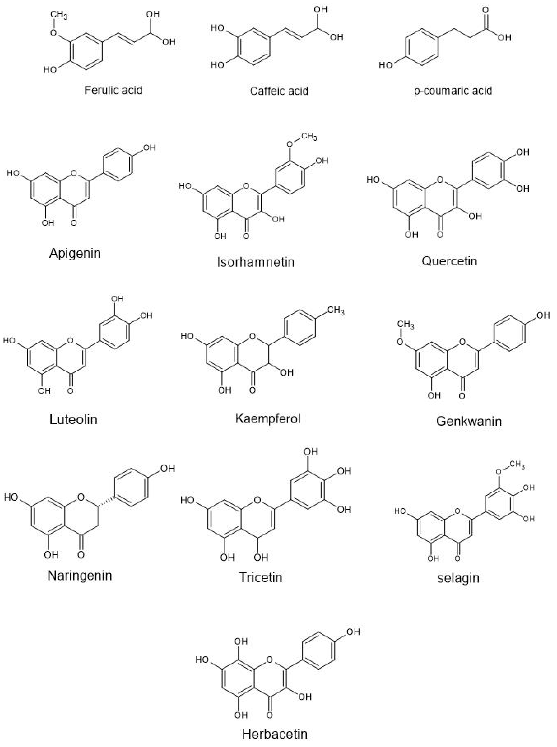 Molecules 26 00957 g004