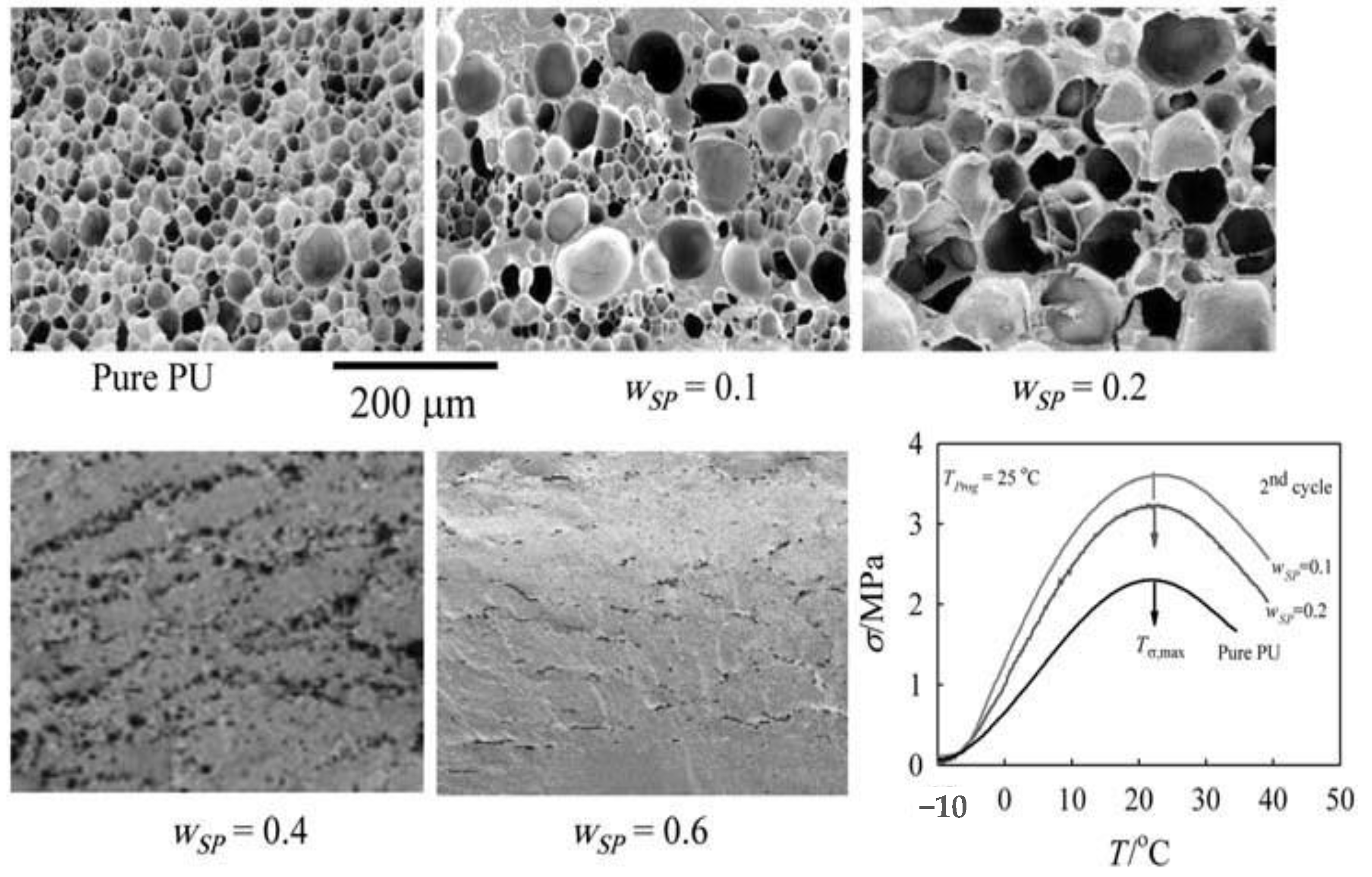 Molecules 26 00961 g007