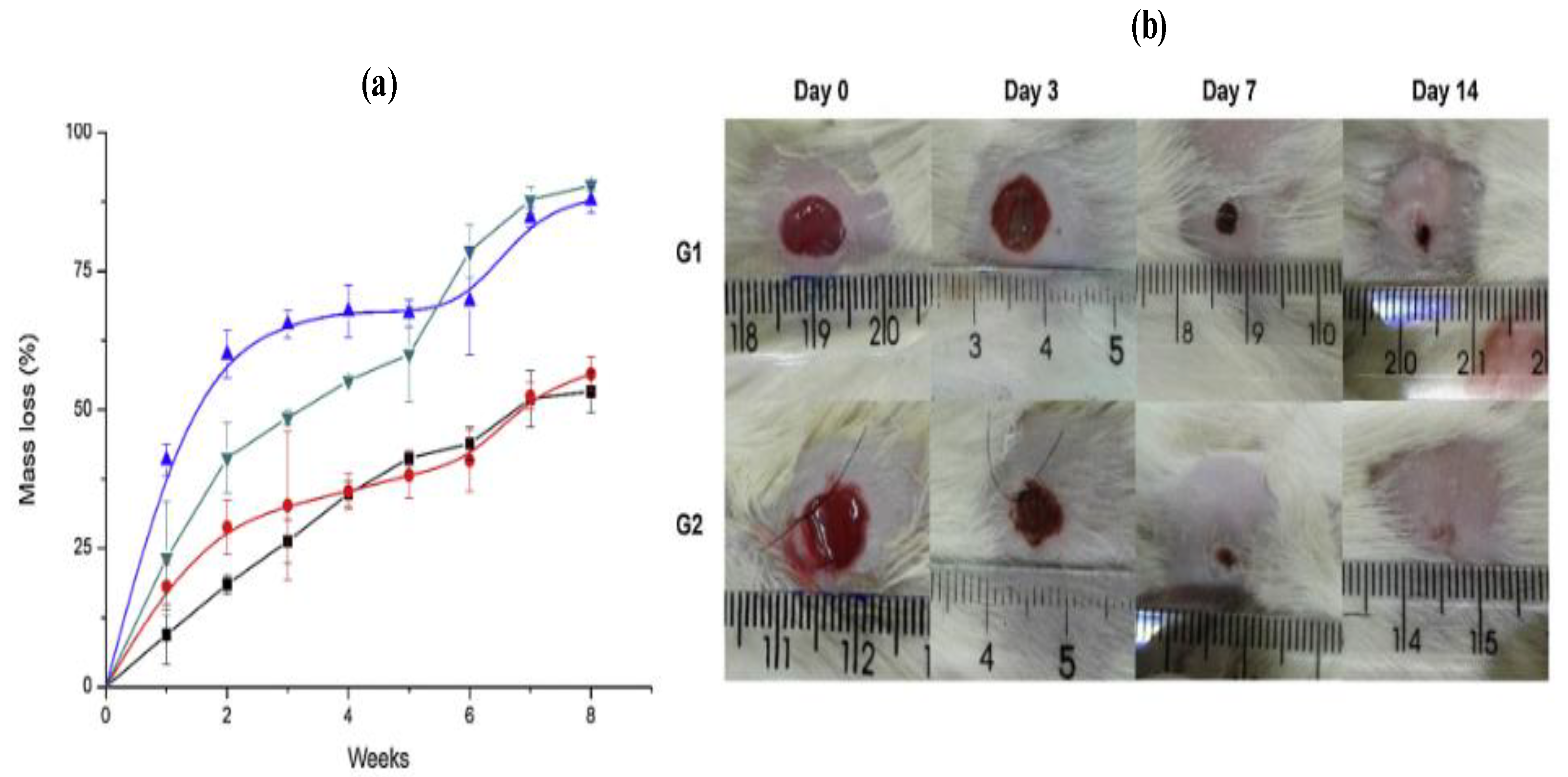 Molecules 26 00961 g011