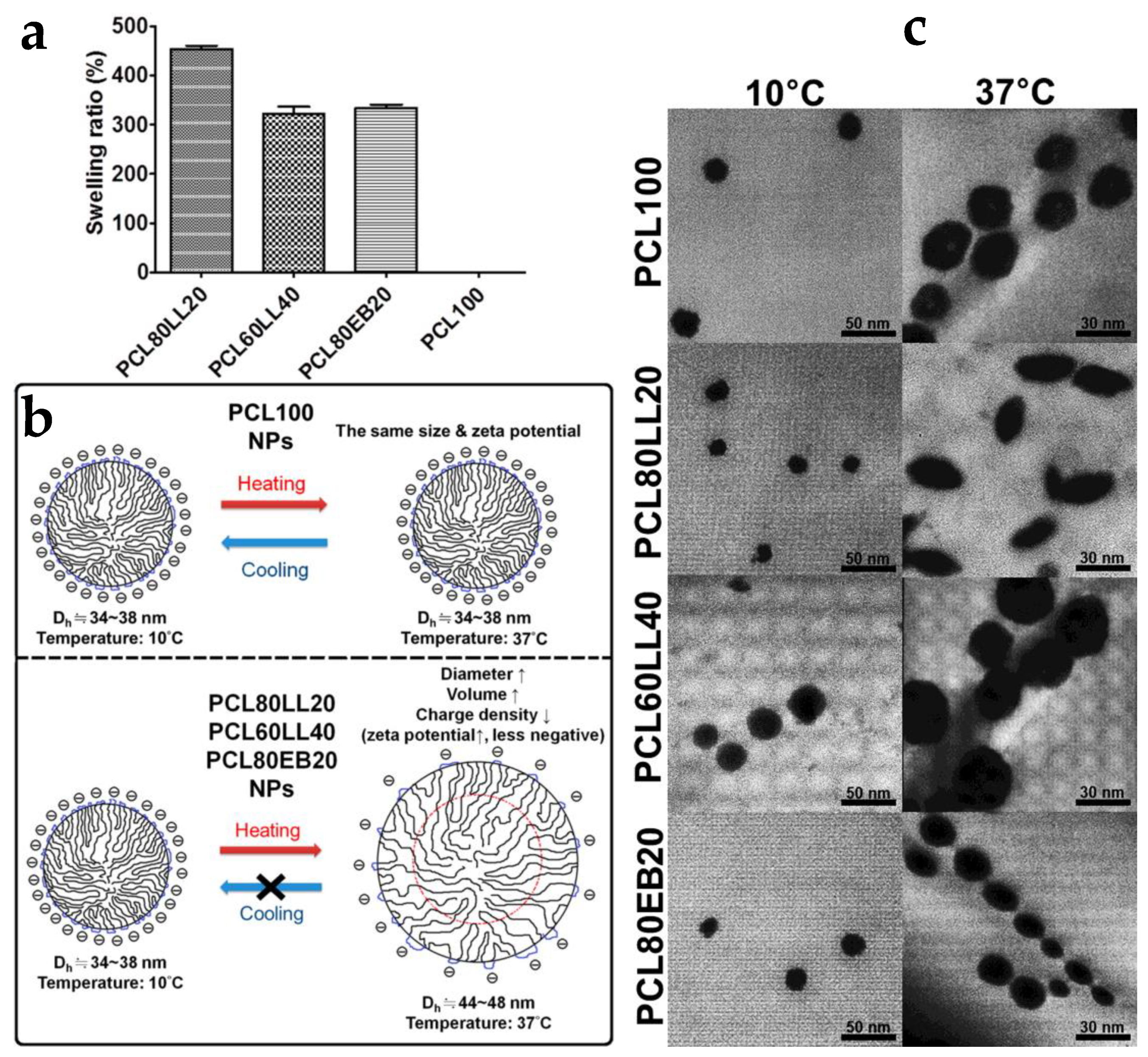 Molecules 26 00961 g012