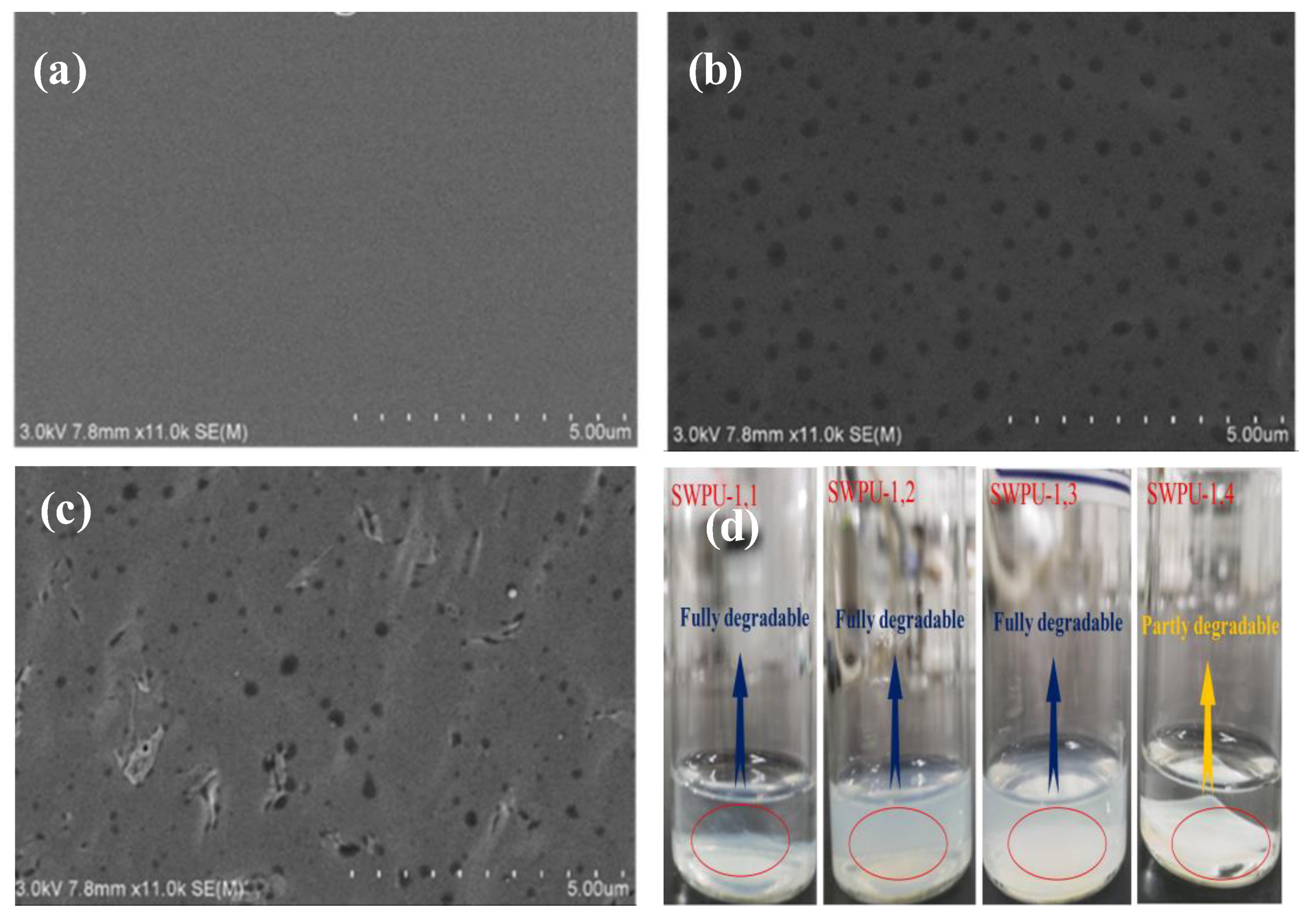 Molecules 26 00961 g014
