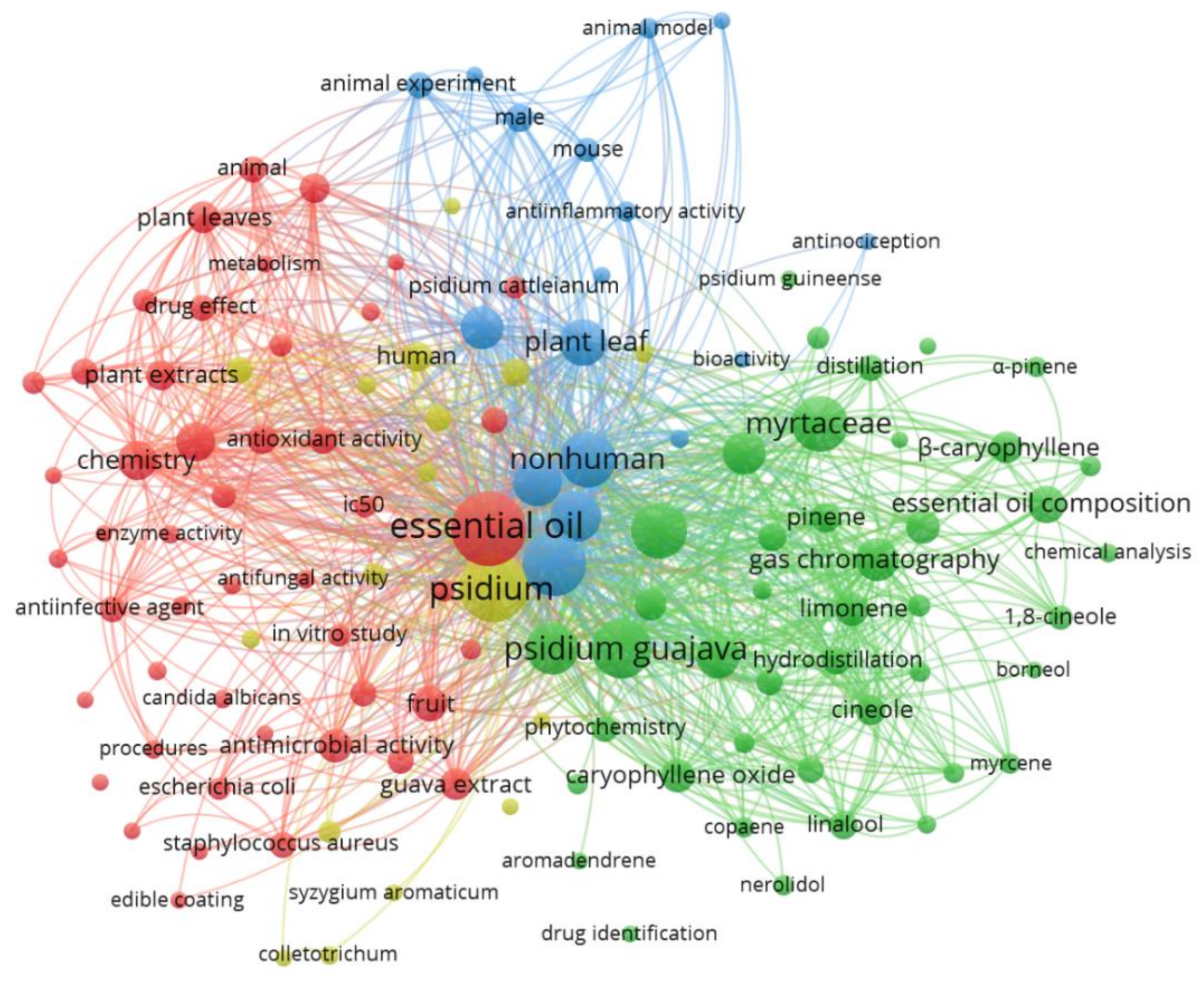 Molecules 26 00965 g003