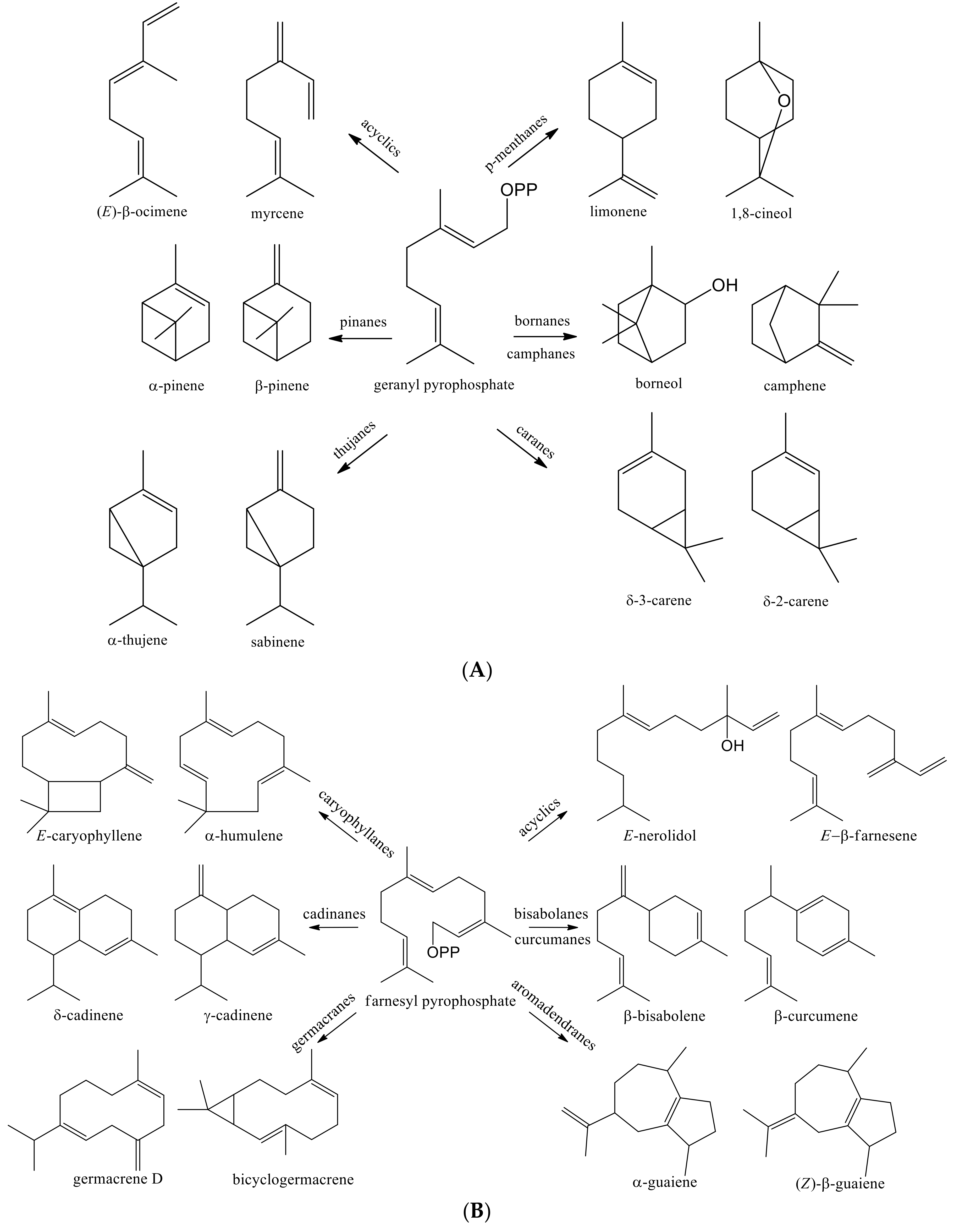 Molecules 26 00965 g004