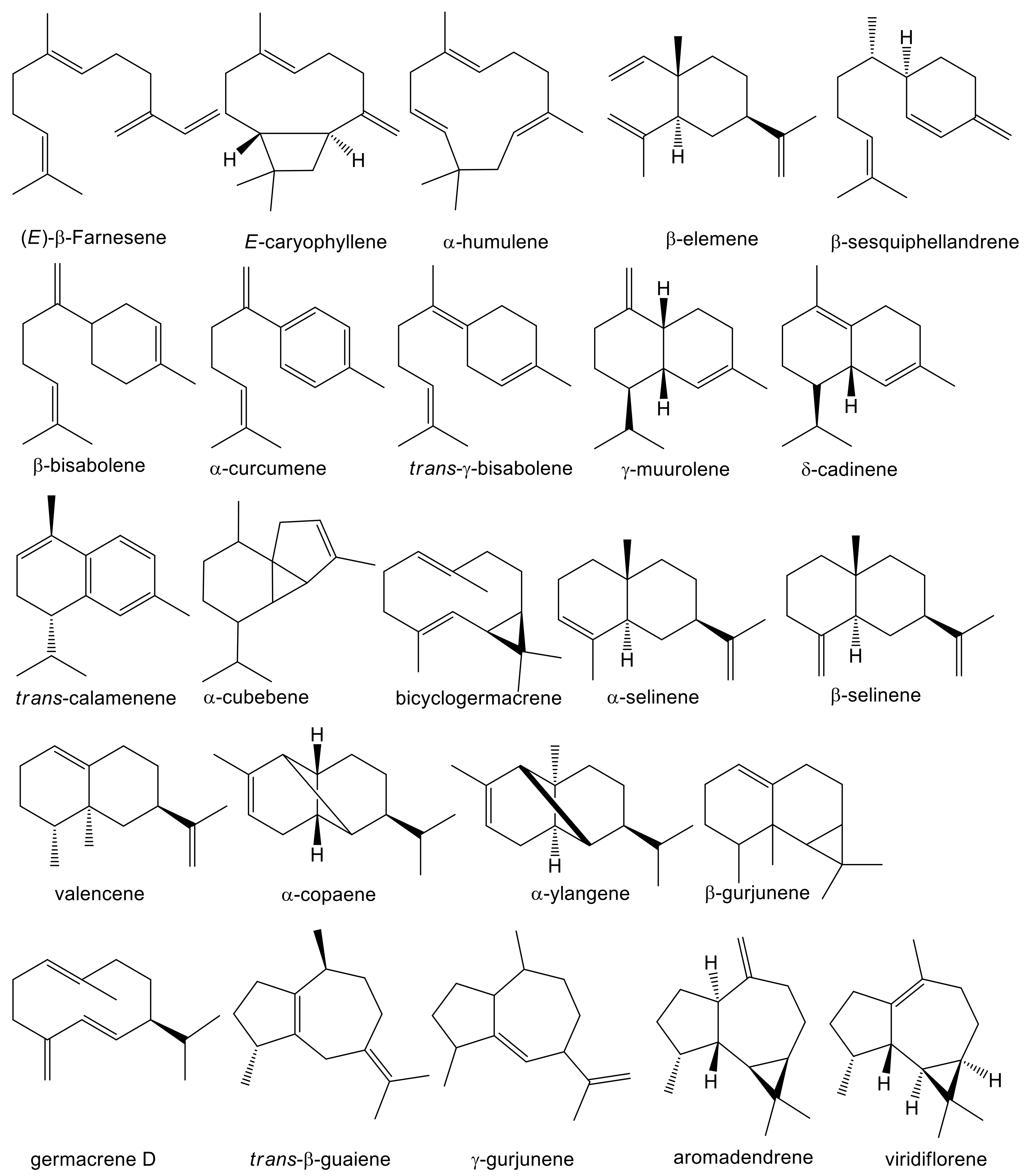Molecules 26 00965 g0a2