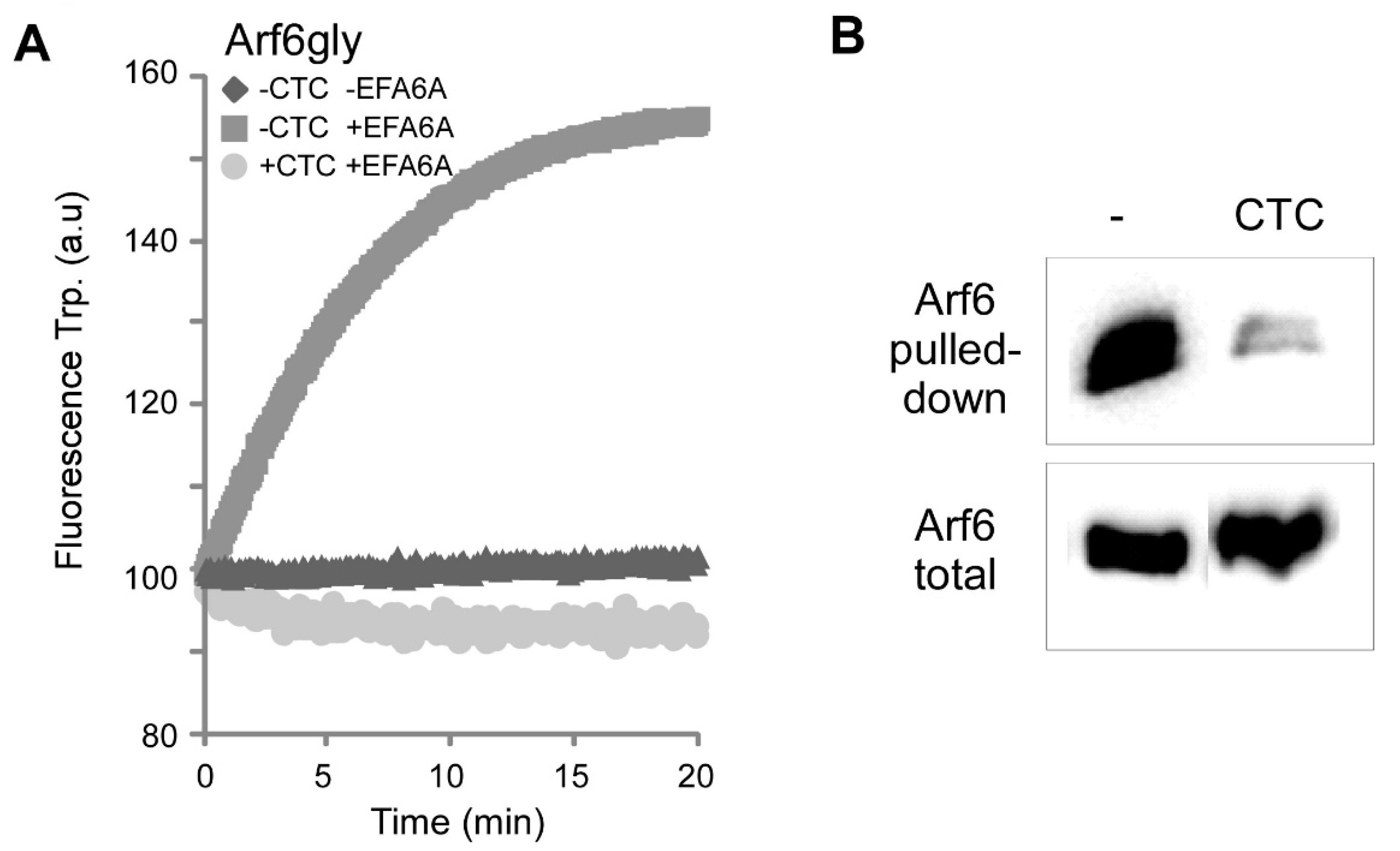 Molecules 26 00969 g004 Molecules 26 00969 g004