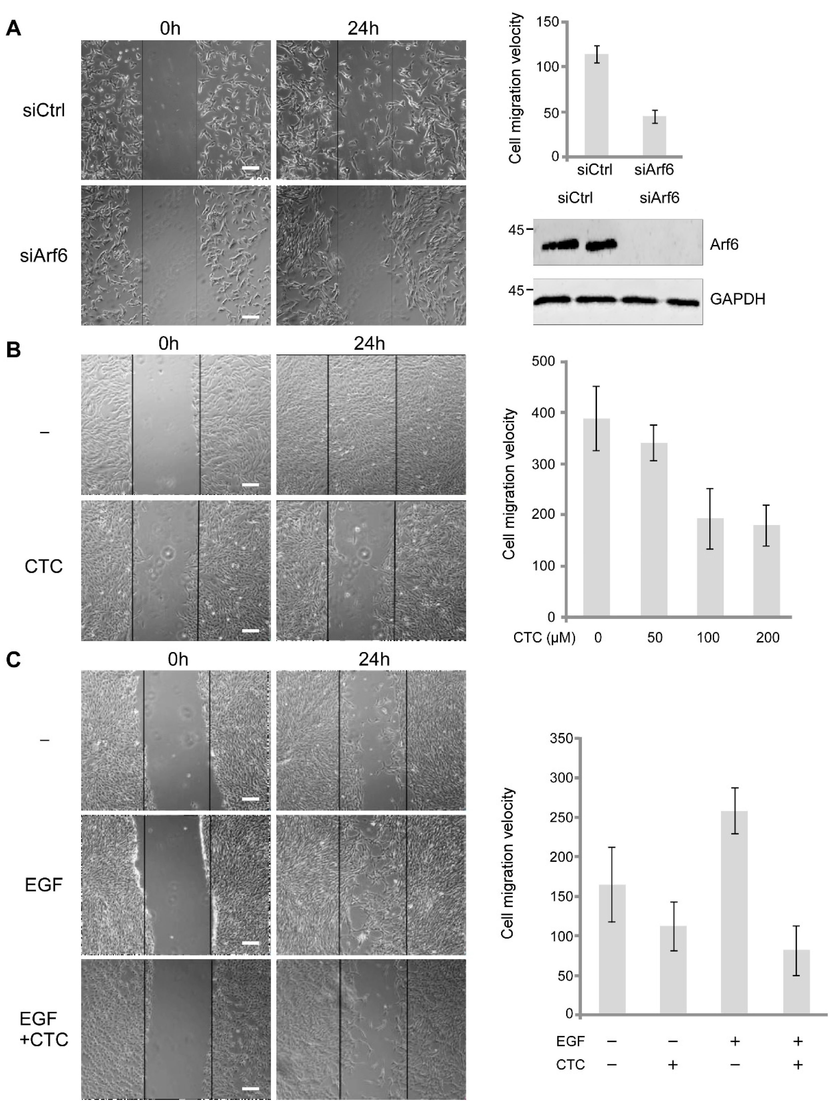 Molecules 26 00969 g006 Molecules 26 00969 g006