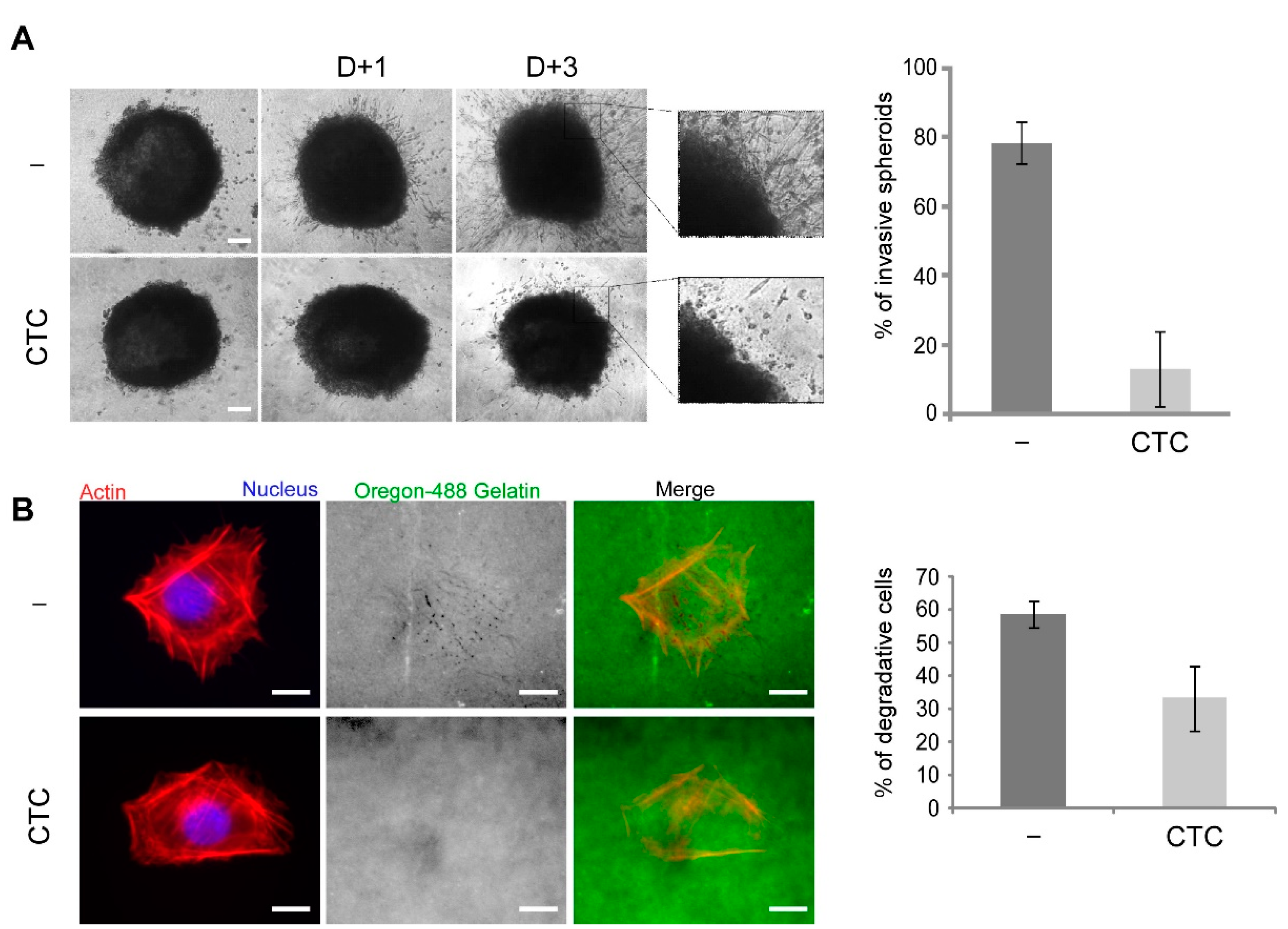 Molecules 26 00969 g007 Molecules 26 00969 g007