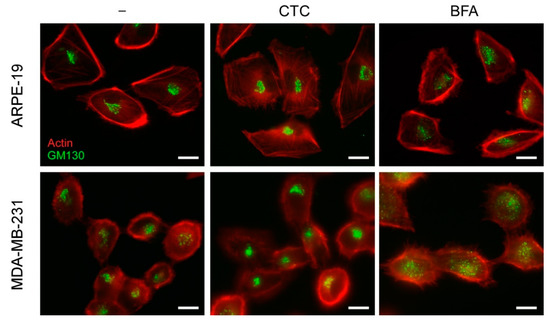 Molecules 26 00969 g0a1