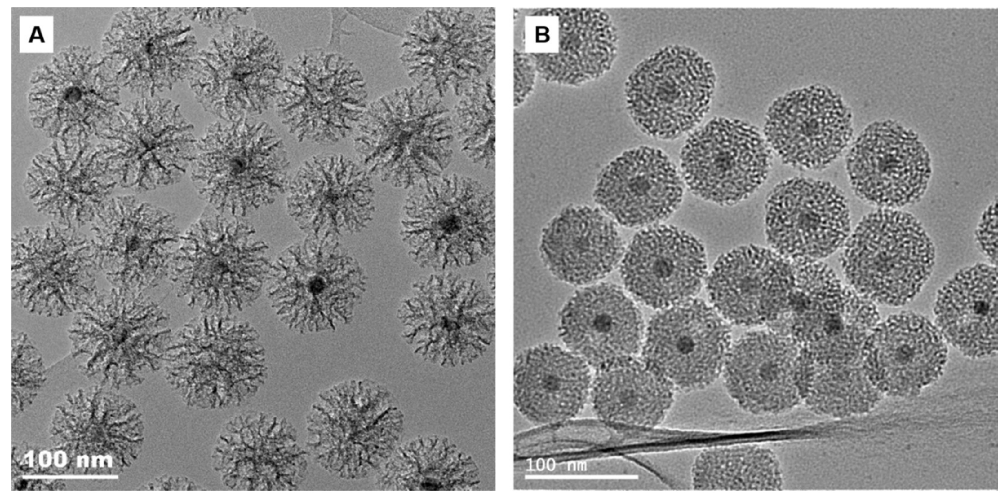 Molecules 26 00971 g004
