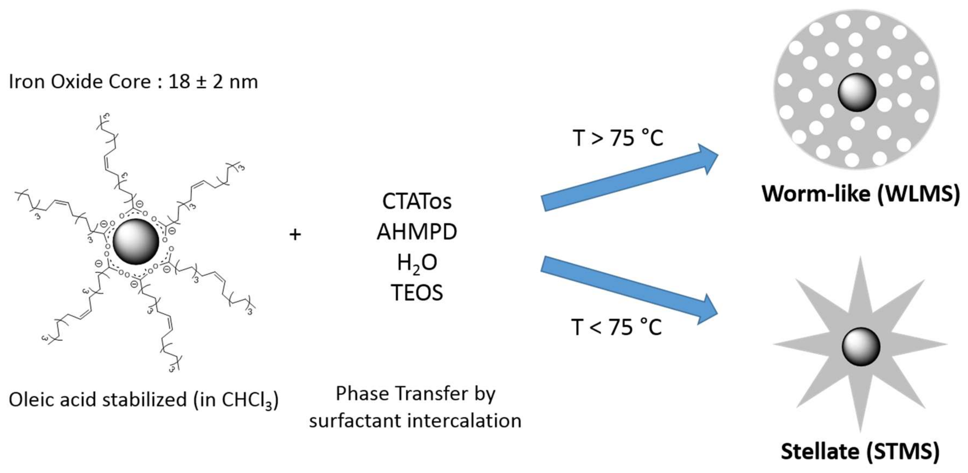 Molecules 26 00971 sch002