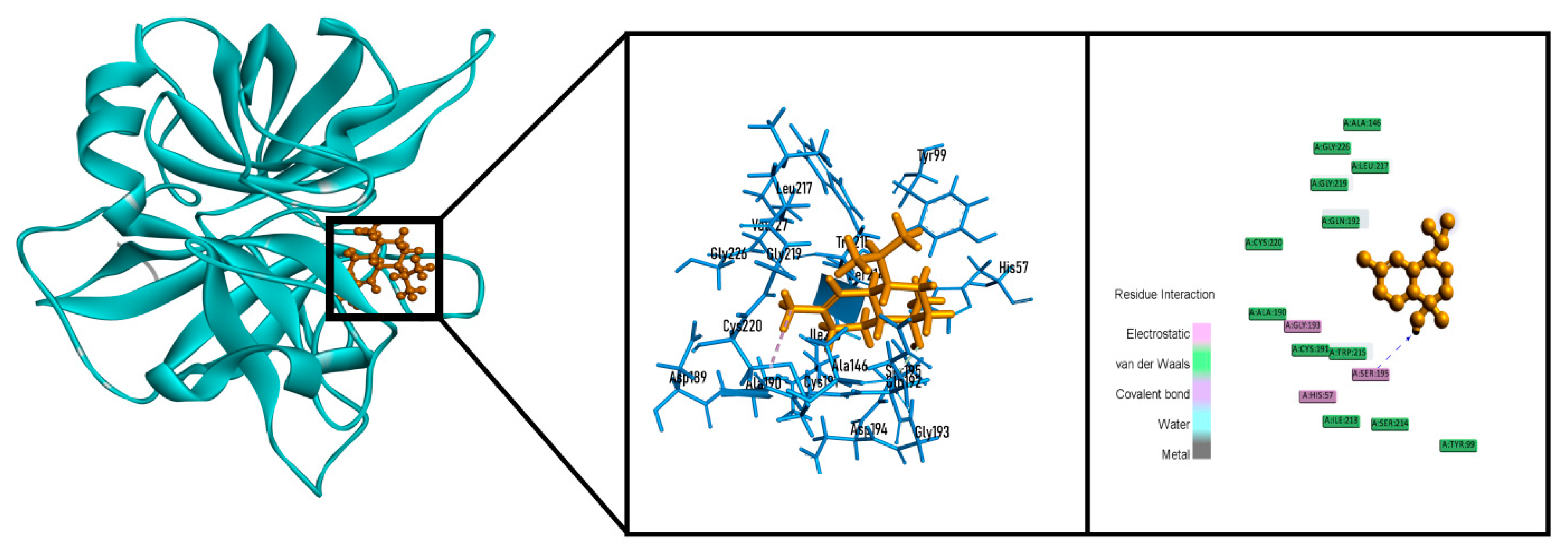 Molecules 26 00975 g007