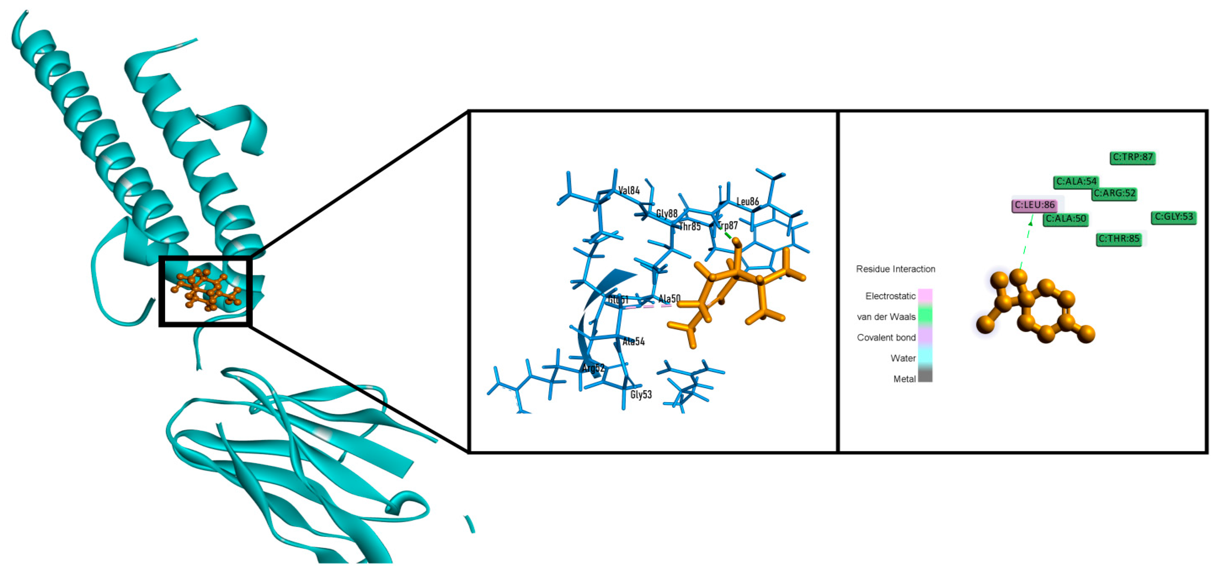 Molecules 26 00975 g008