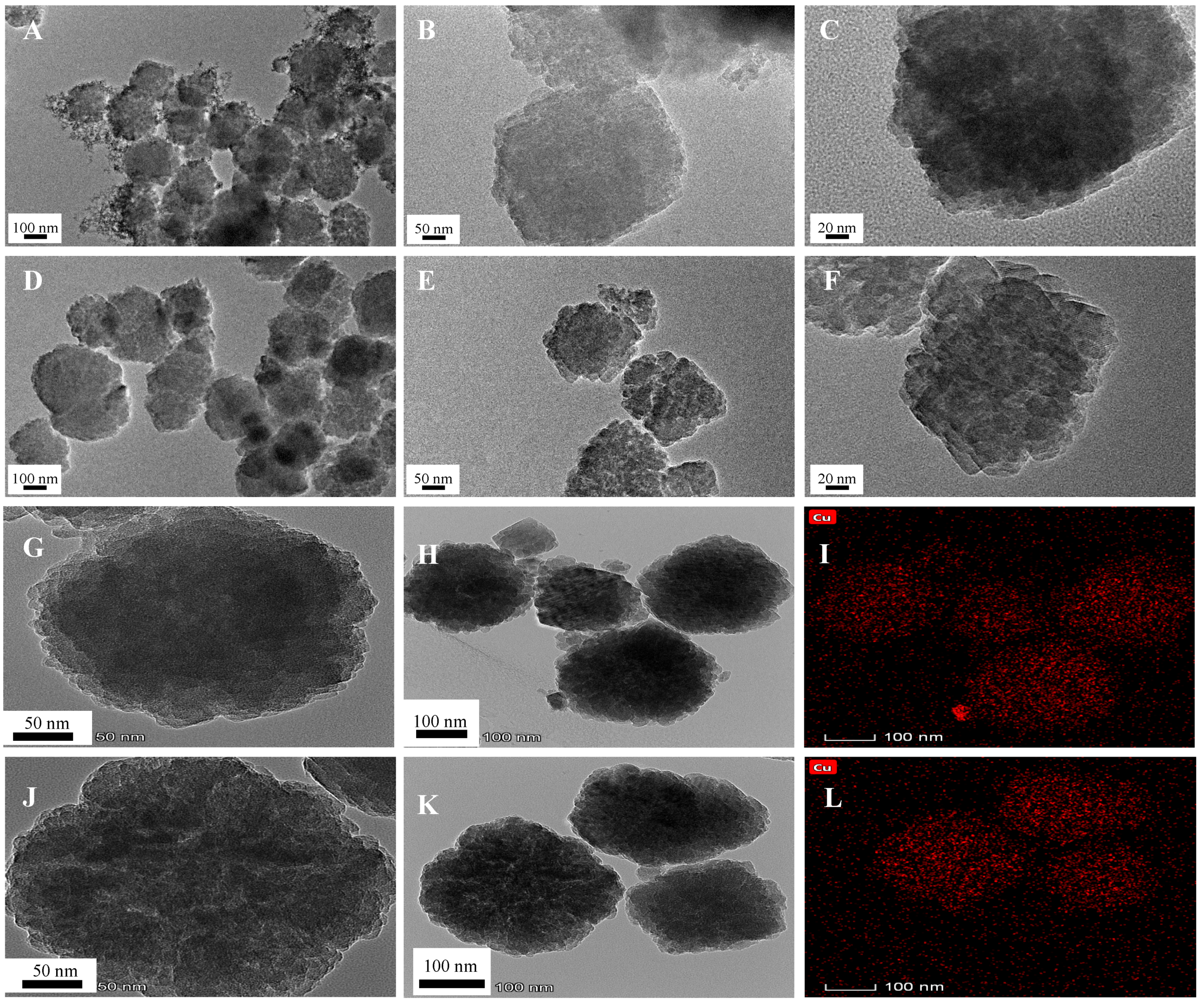 Molecules 26 00978 g006