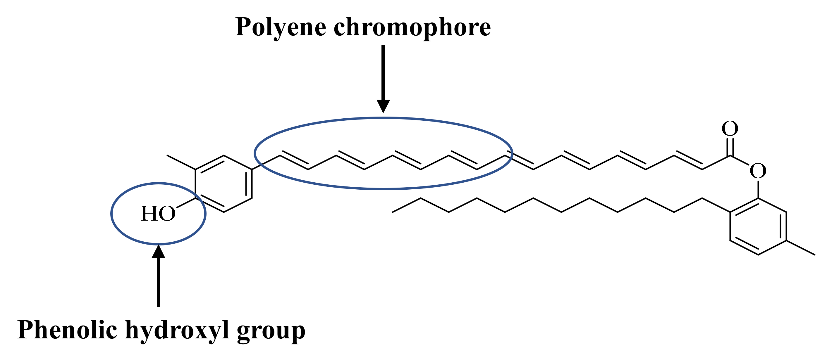 Molecules 26 00979 g001