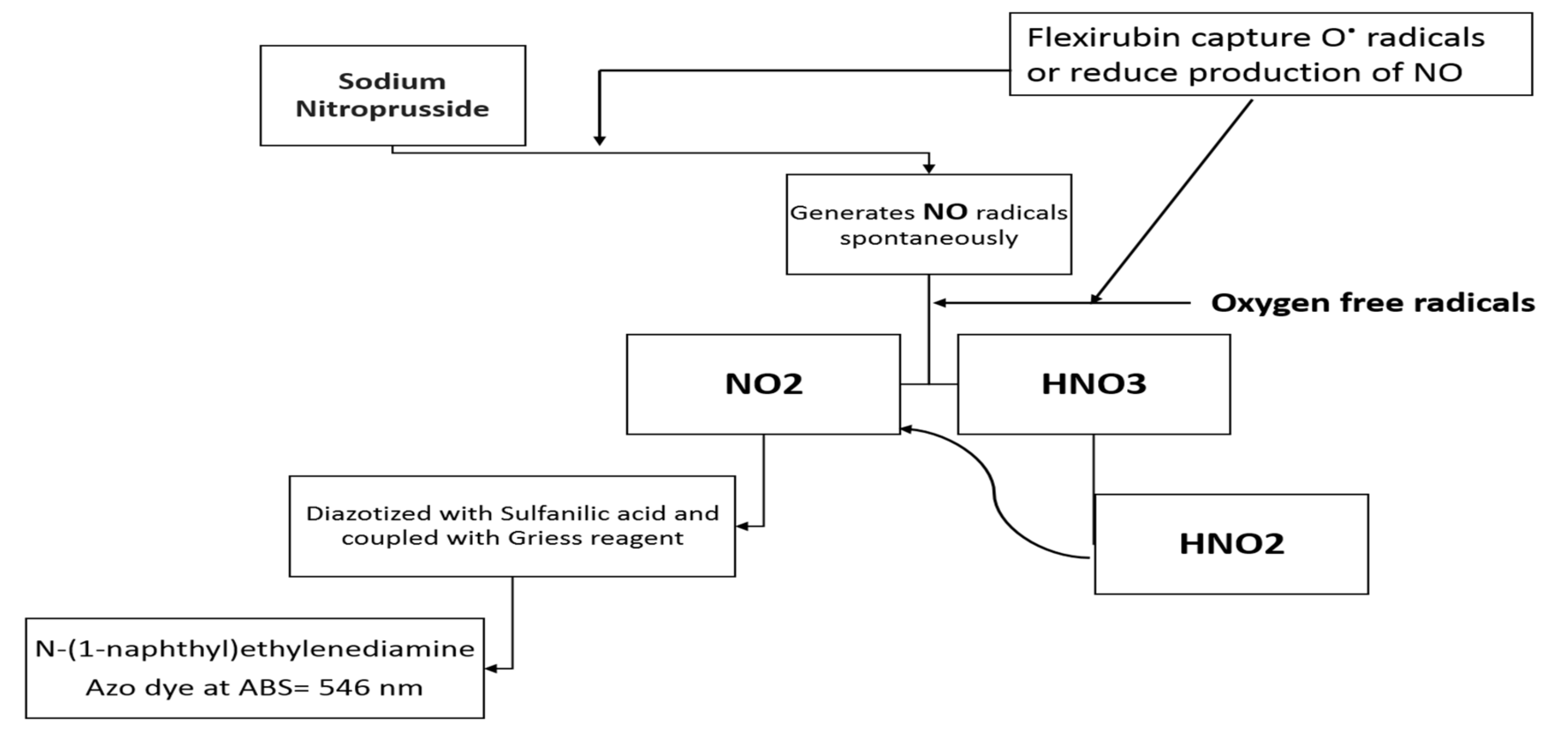 Molecules 26 00979 g004
