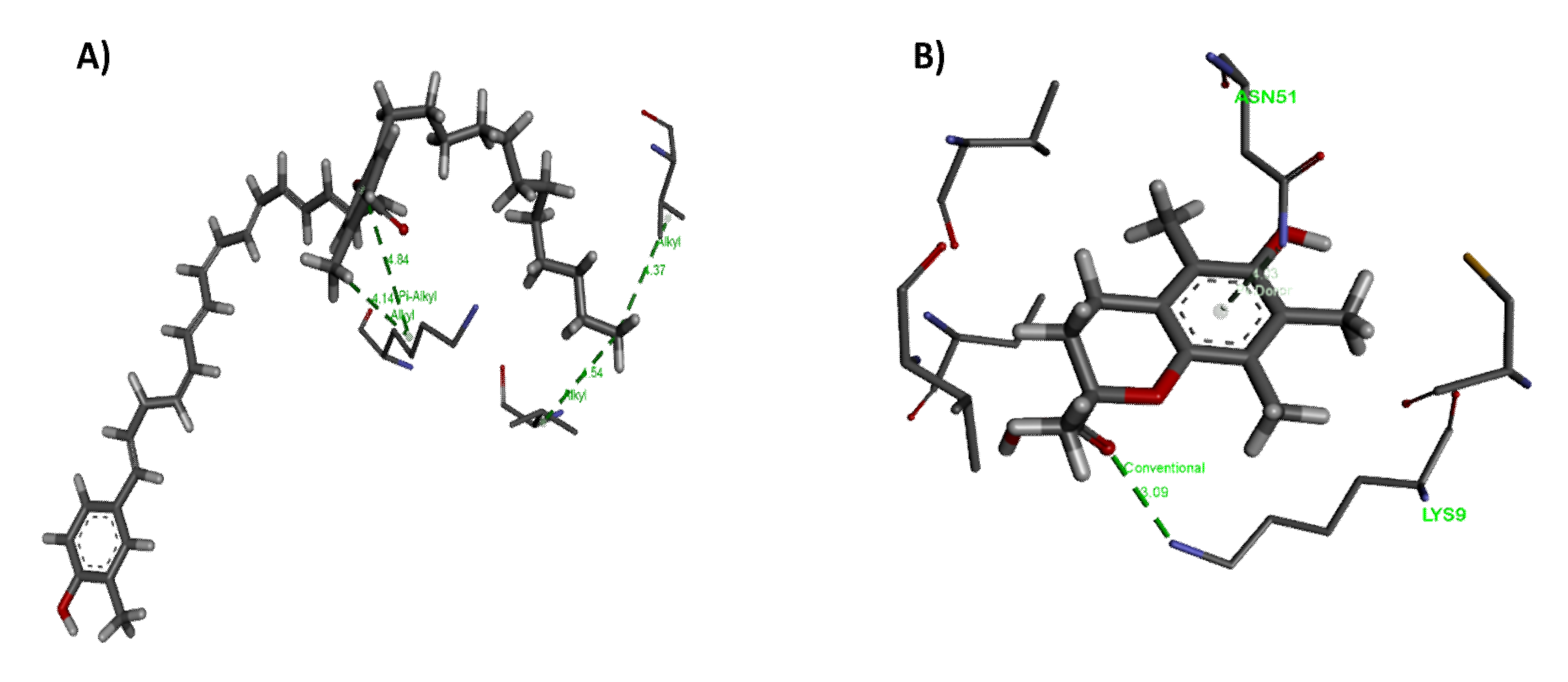 Molecules 26 00979 g008