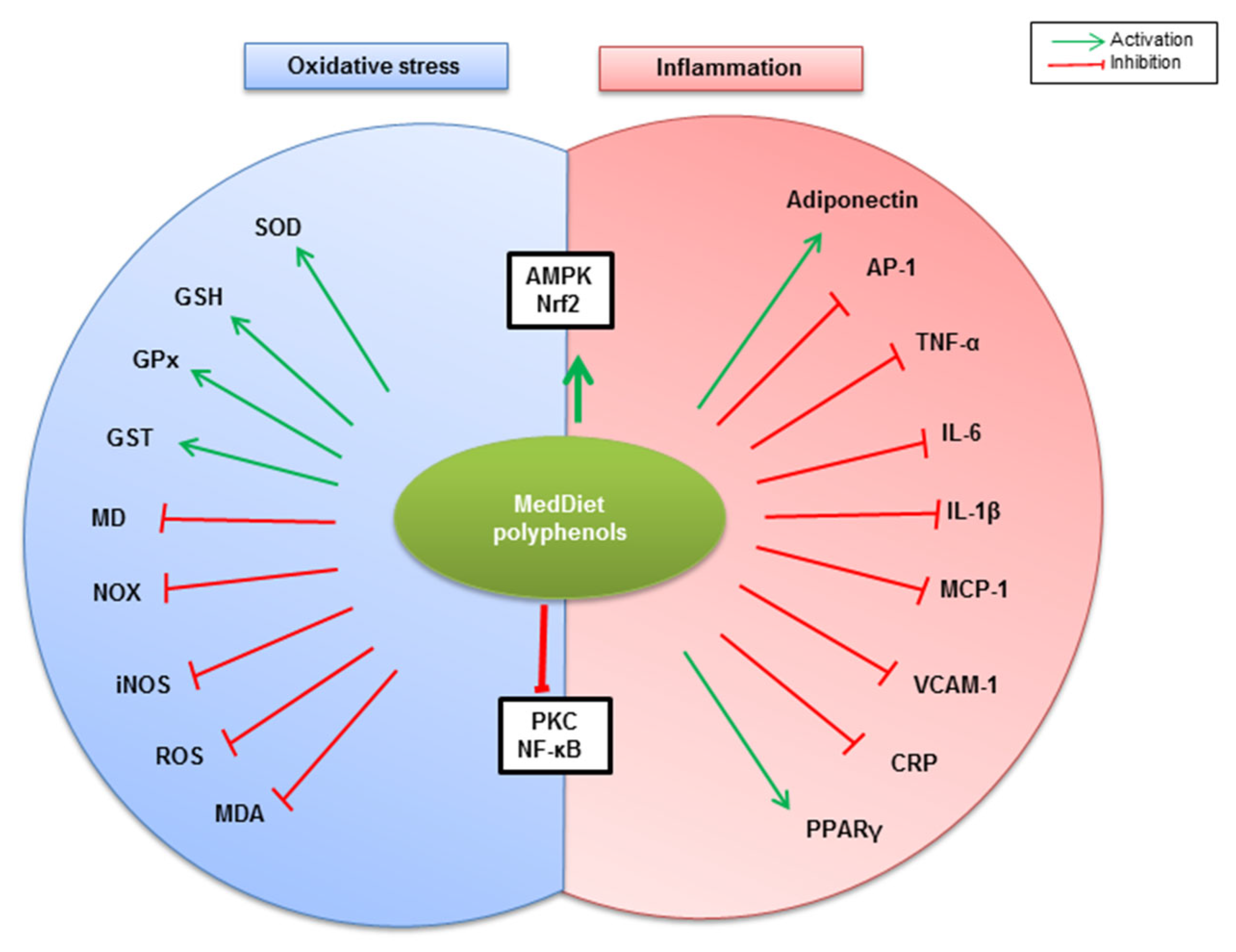 Molecules 26 00985 g003
