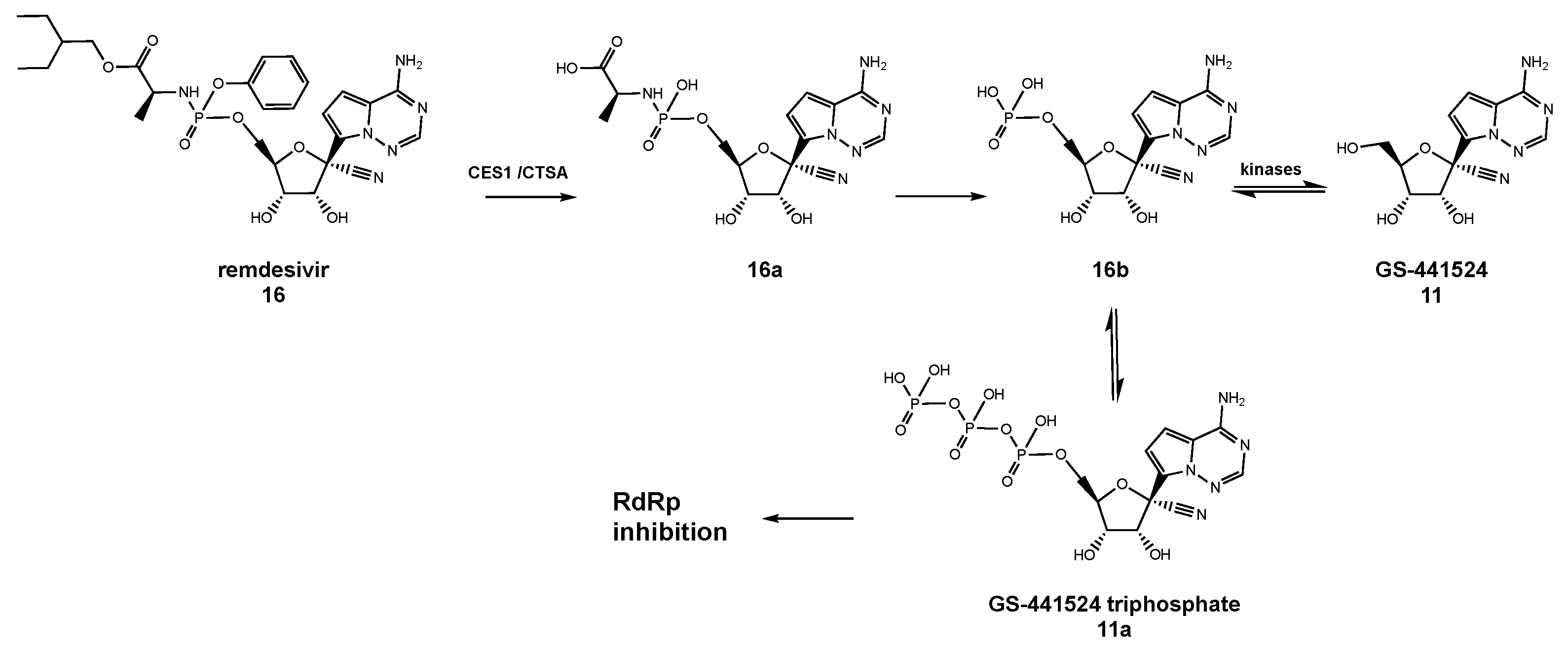 Molecules 26 00986 g005