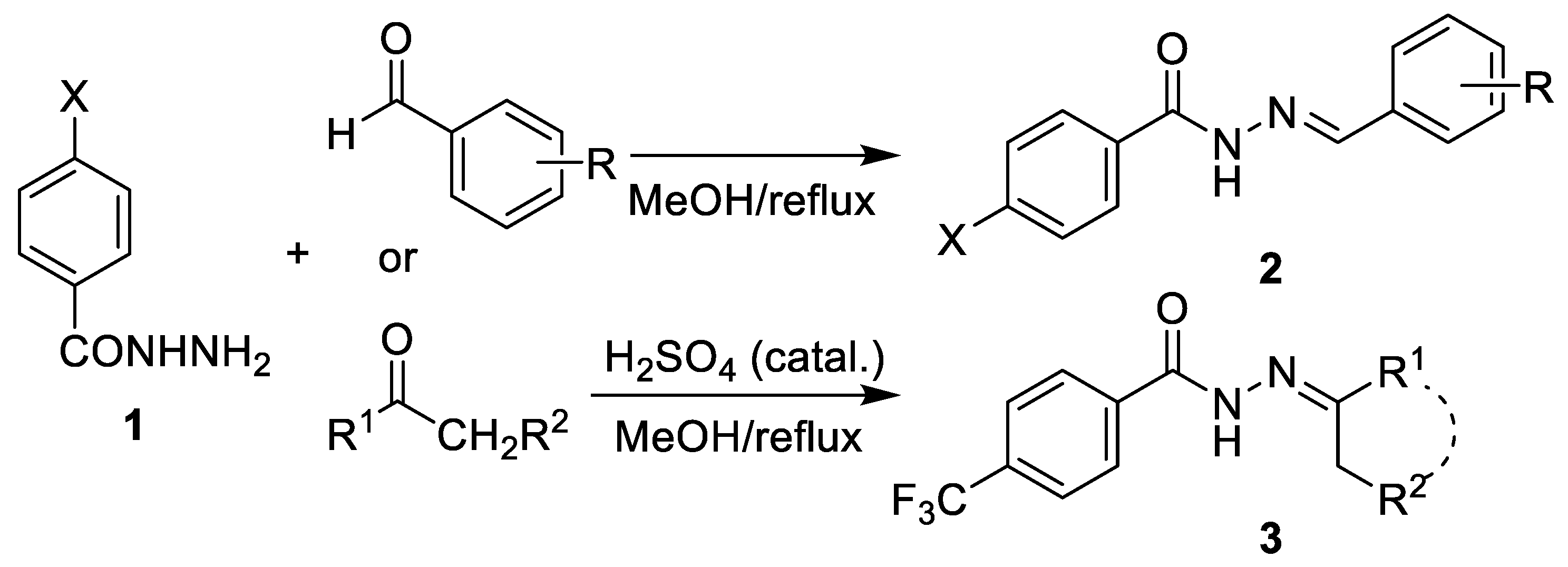 Molecules 26 00989 sch002