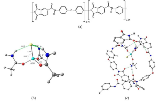 Molecules 26 00990 g001