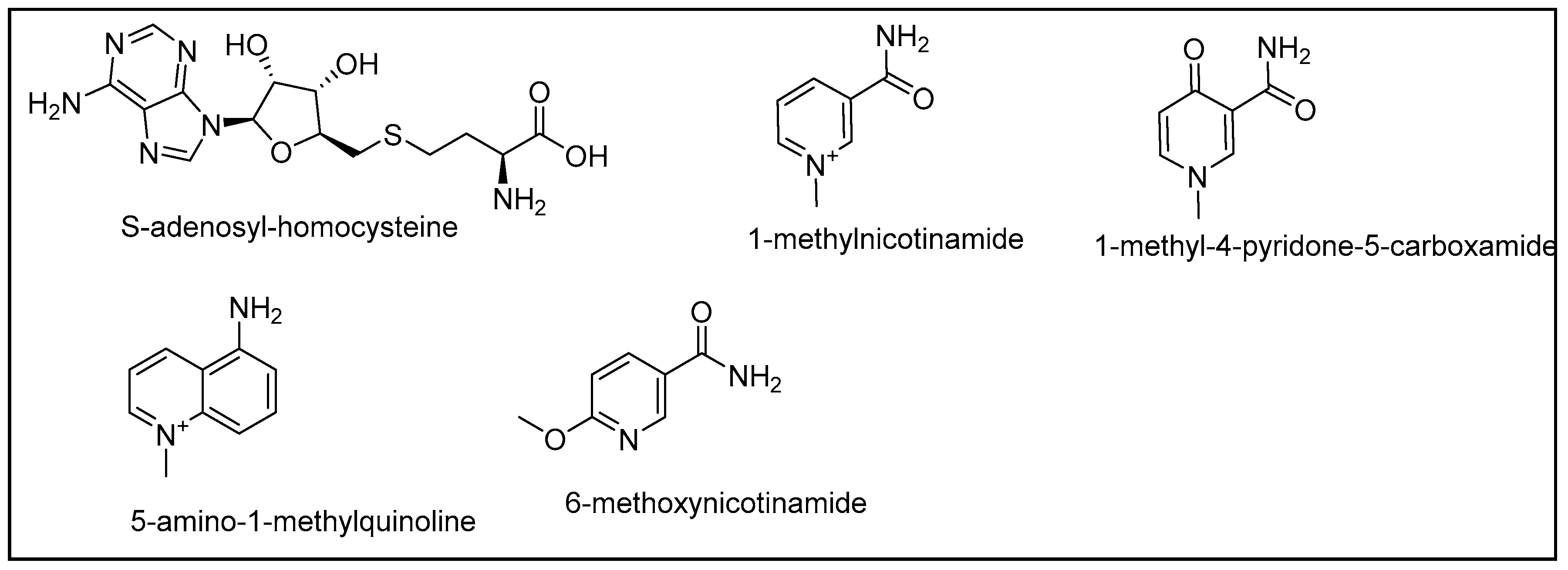 Molecules 26 00991 g001