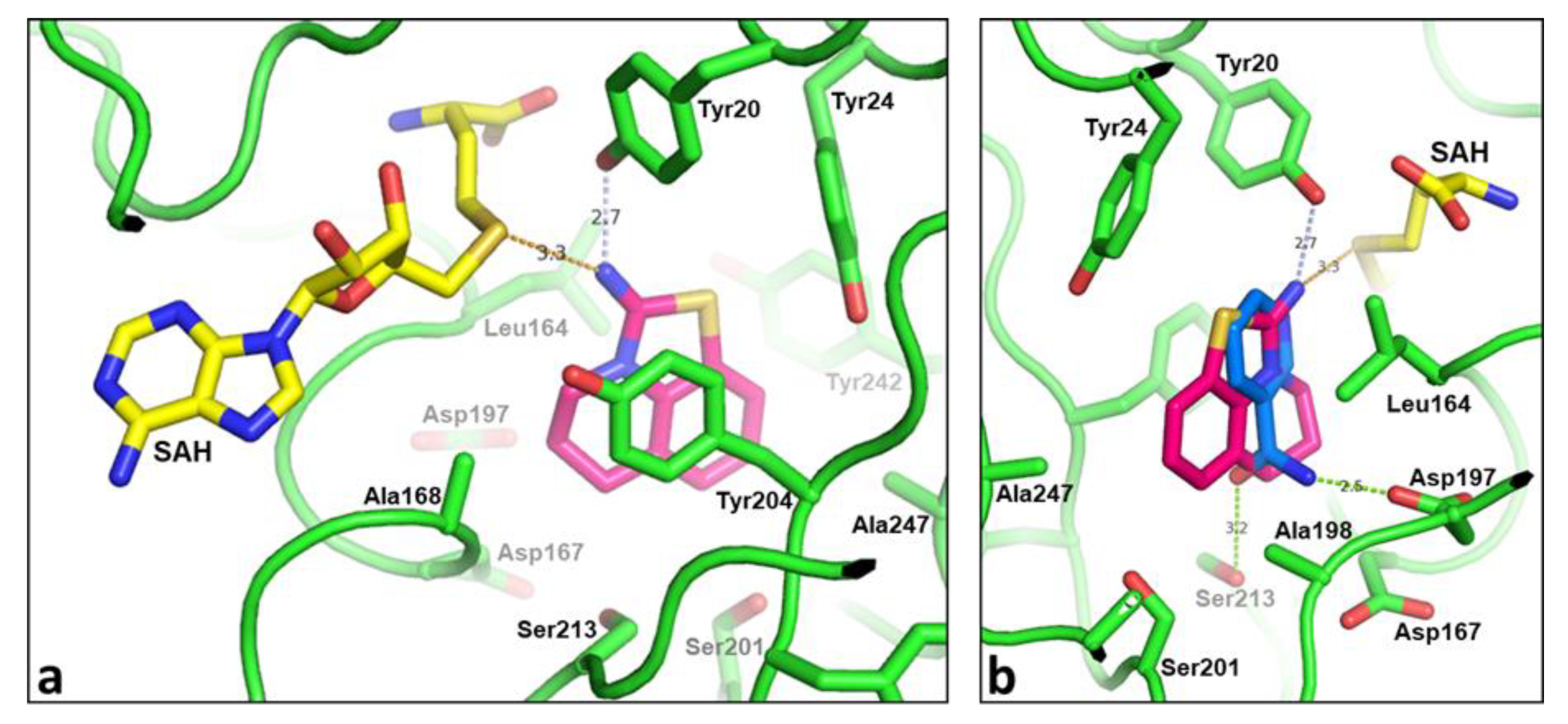 Molecules 26 00991 g004