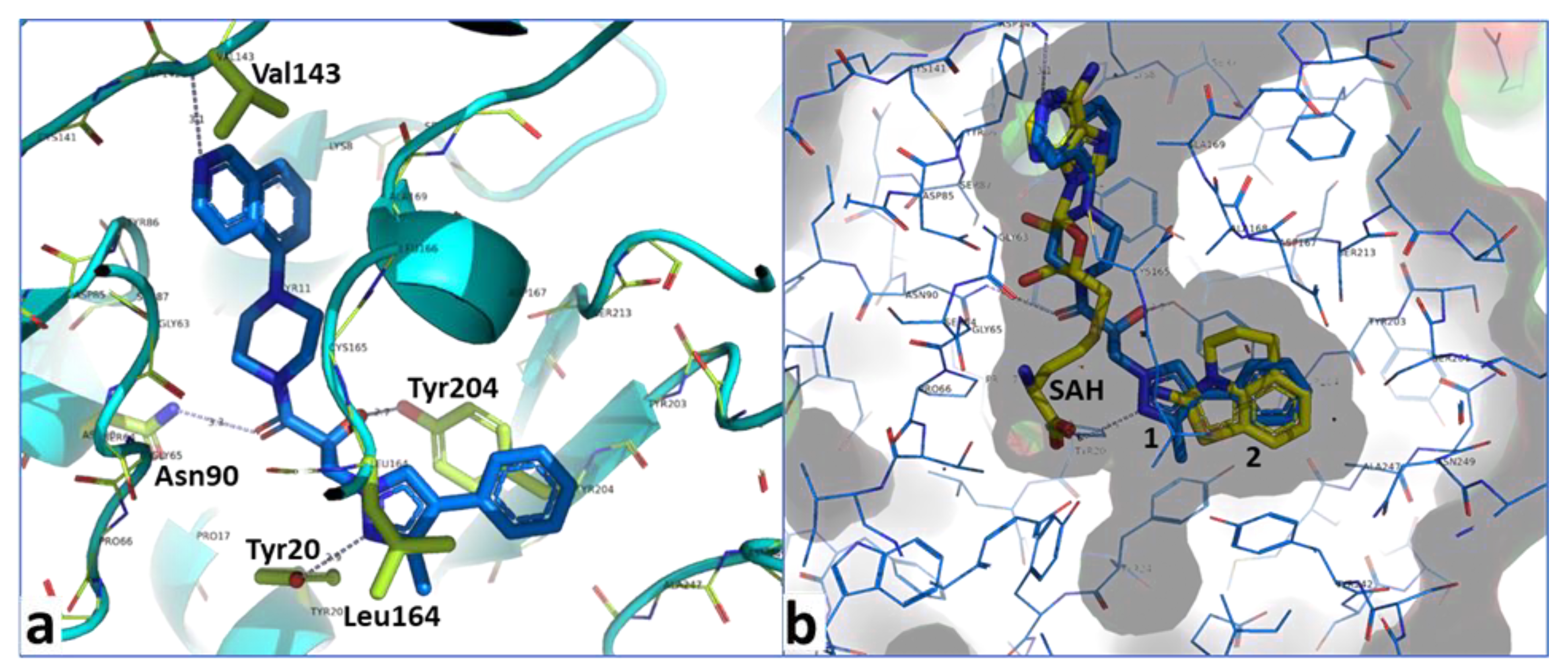 Molecules 26 00991 g006