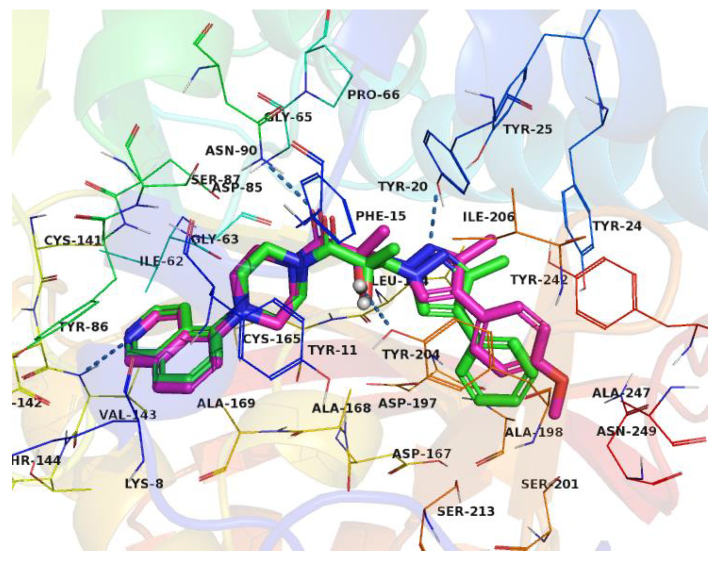 Molecules 26 00991 g008