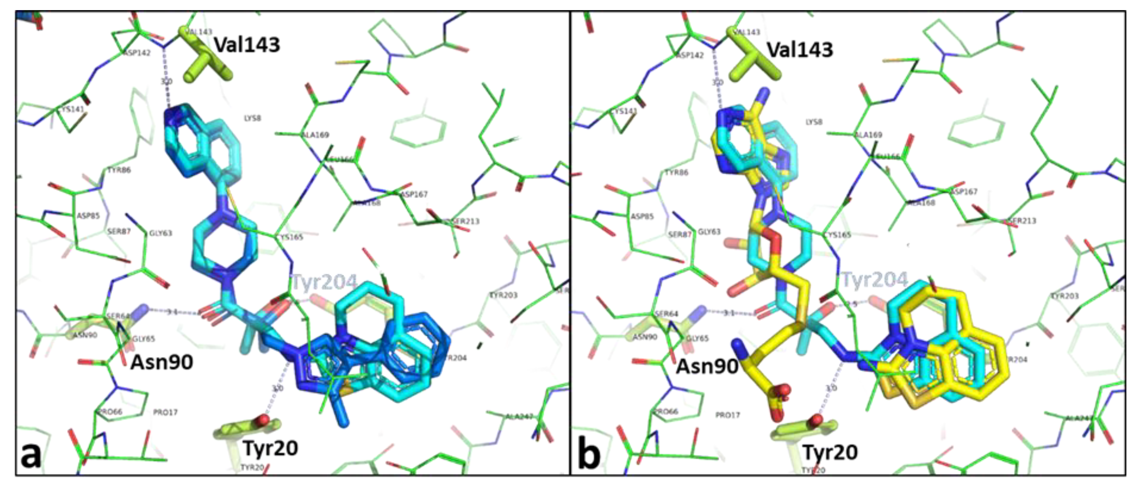 Molecules 26 00991 g010
