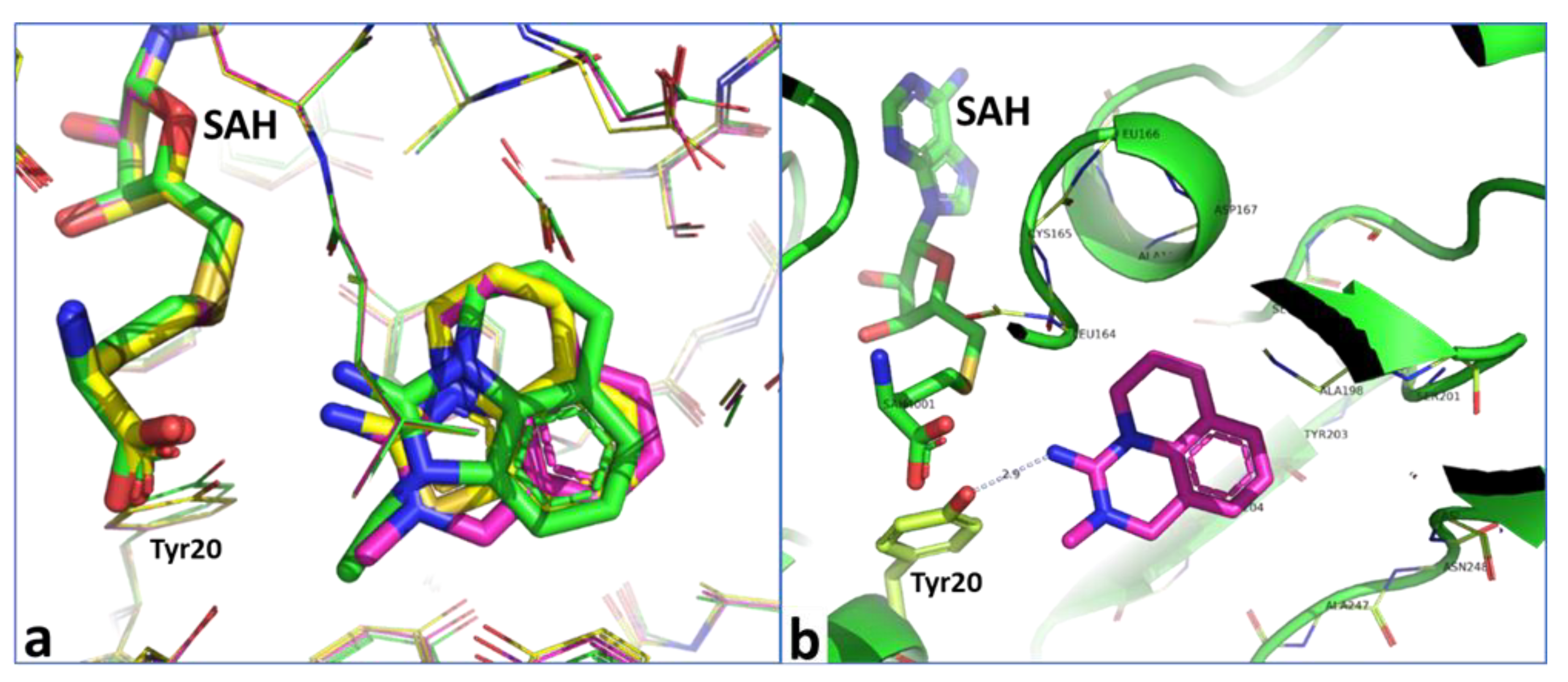 Molecules 26 00991 g011